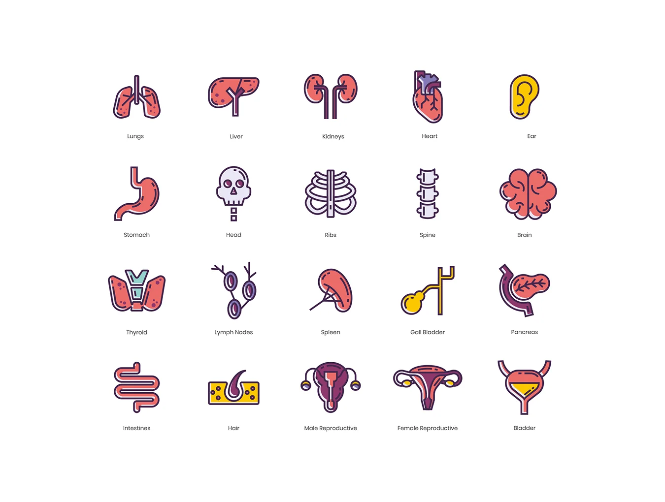 105 Medical Icons | Lilac Series 5