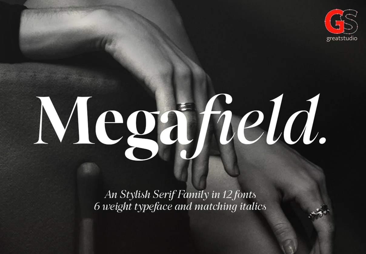 Megafield Serif Family