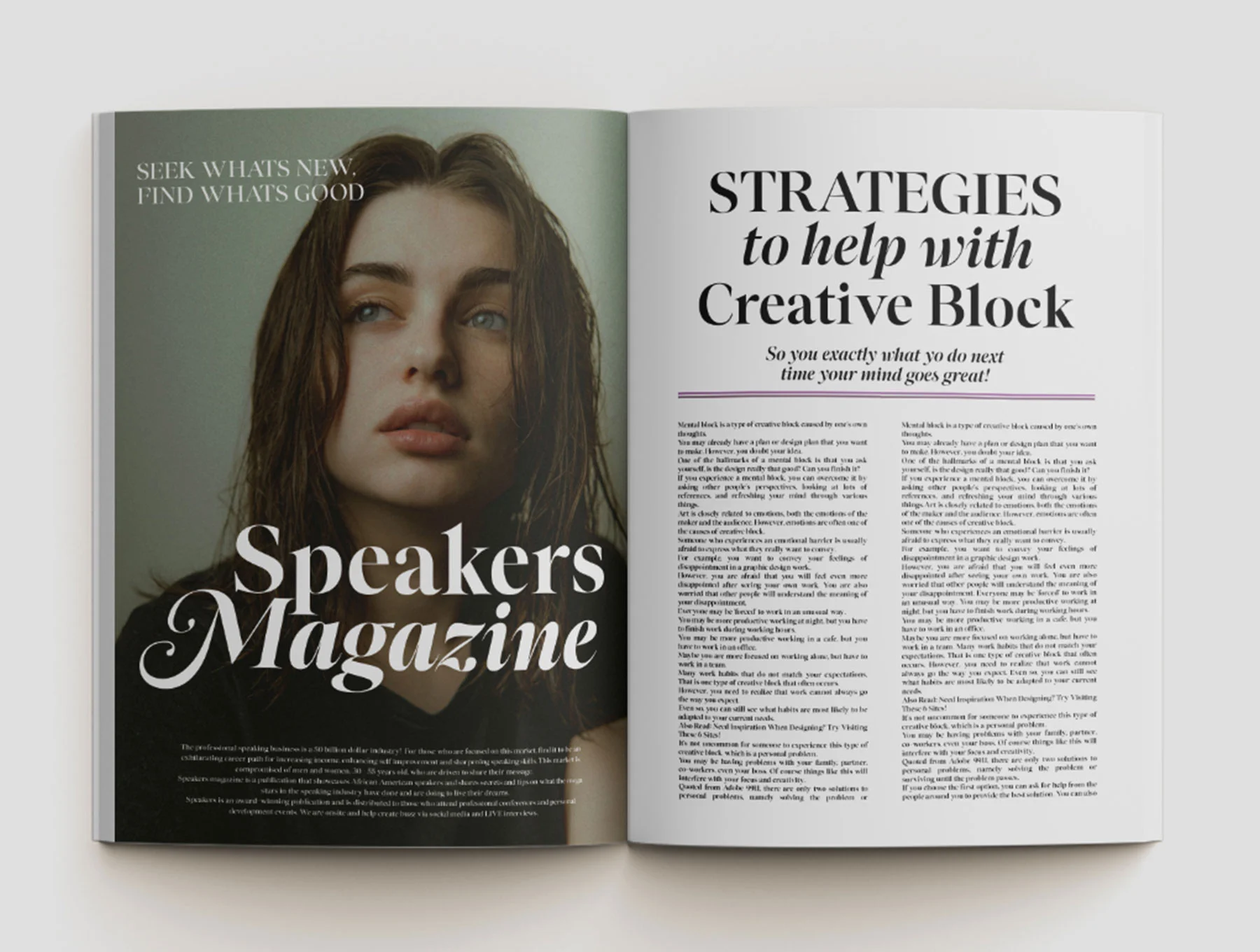 Megafield Serif Family