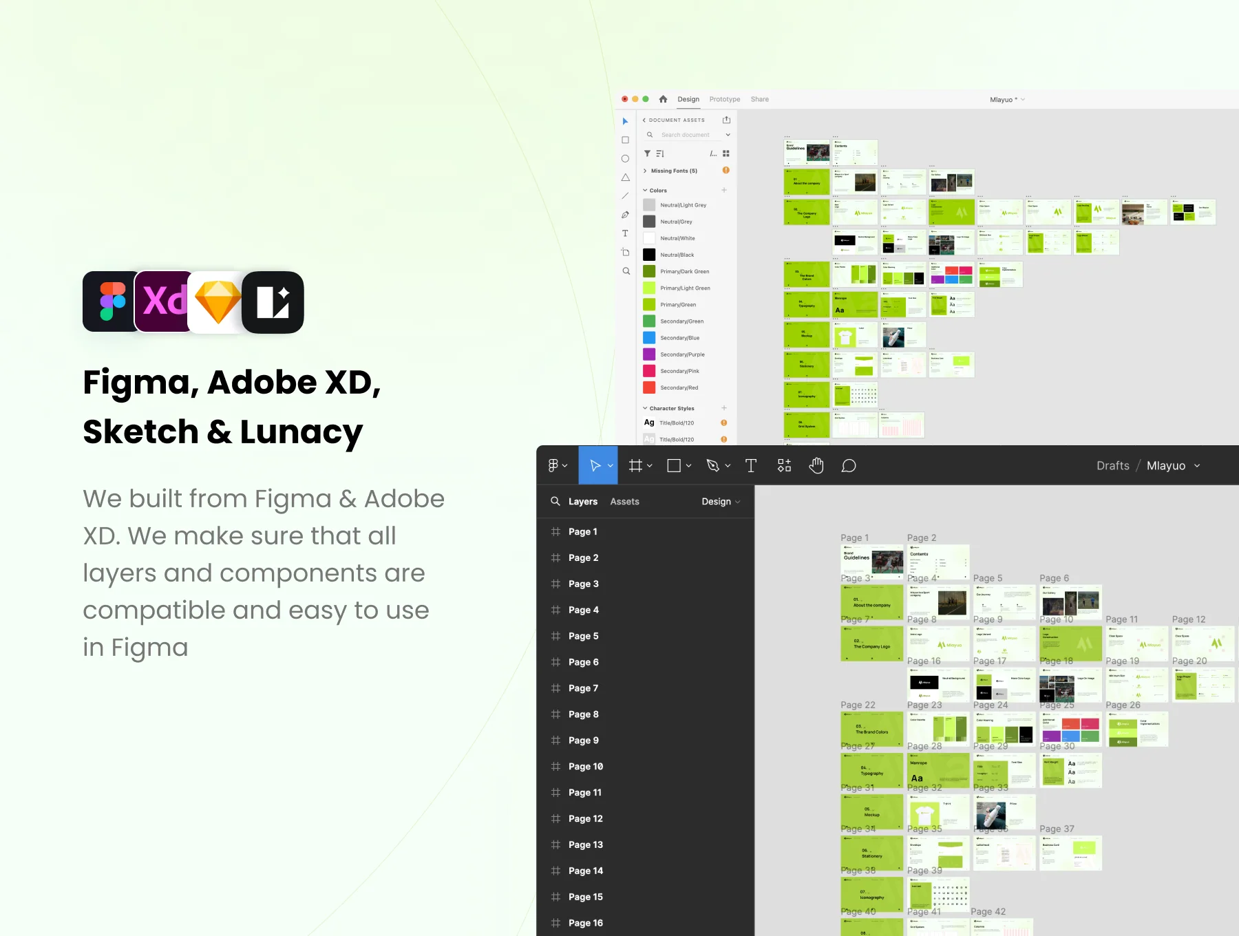 Mlayuo - Sport Brand Guidelines 4