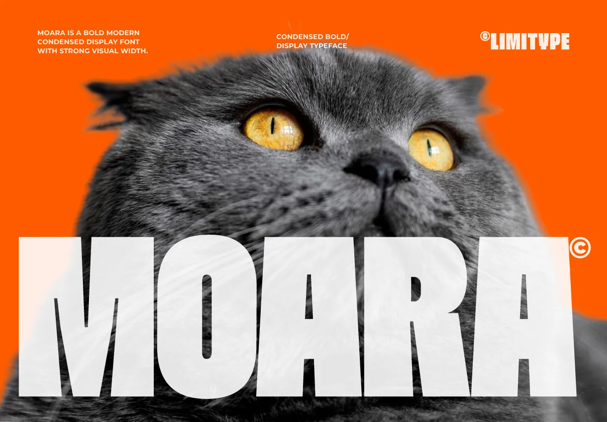 Moara