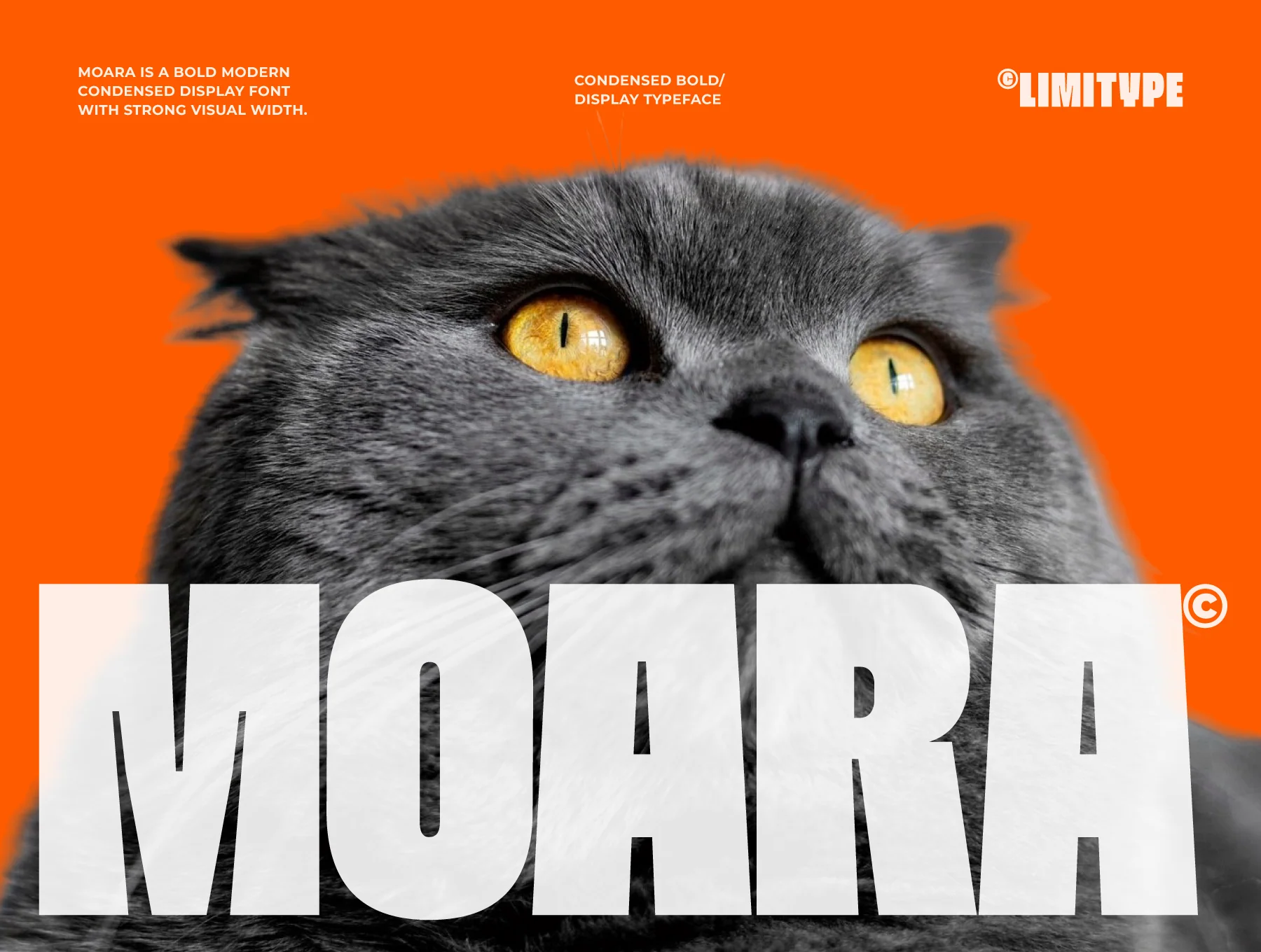 Moara