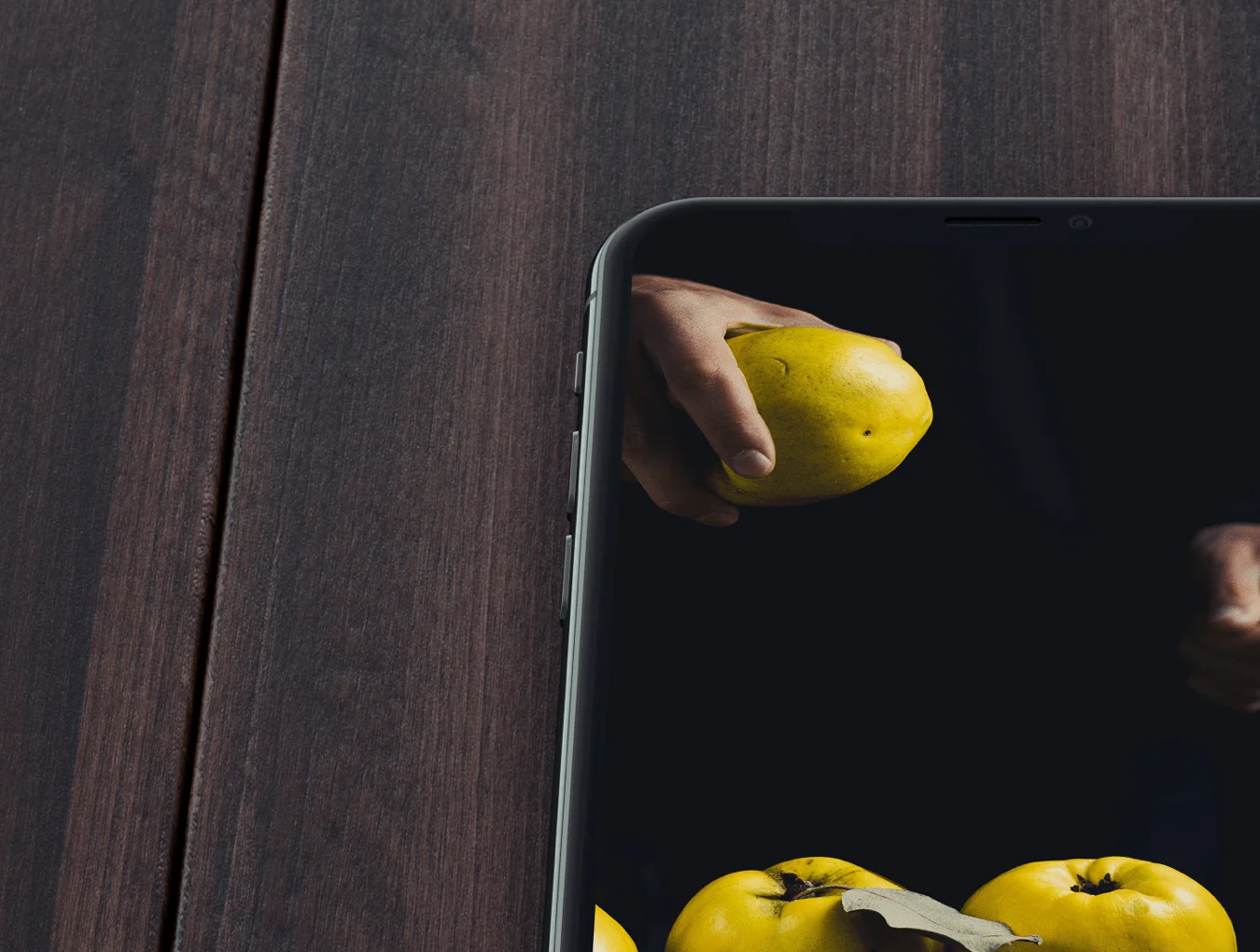 Mockups365: Day 19 5