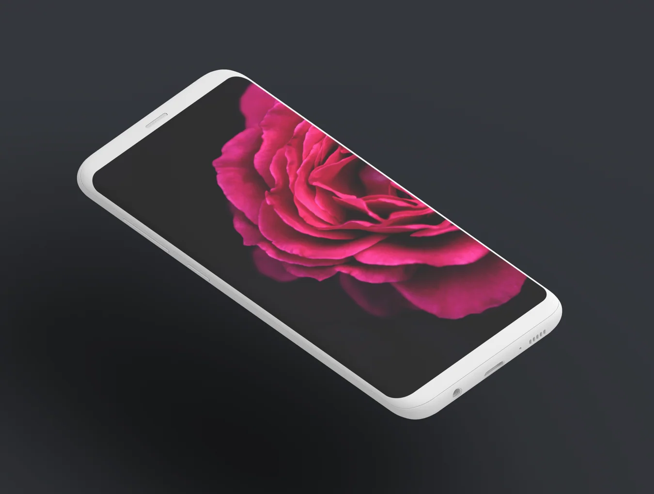 Mockups365: Day 5 2