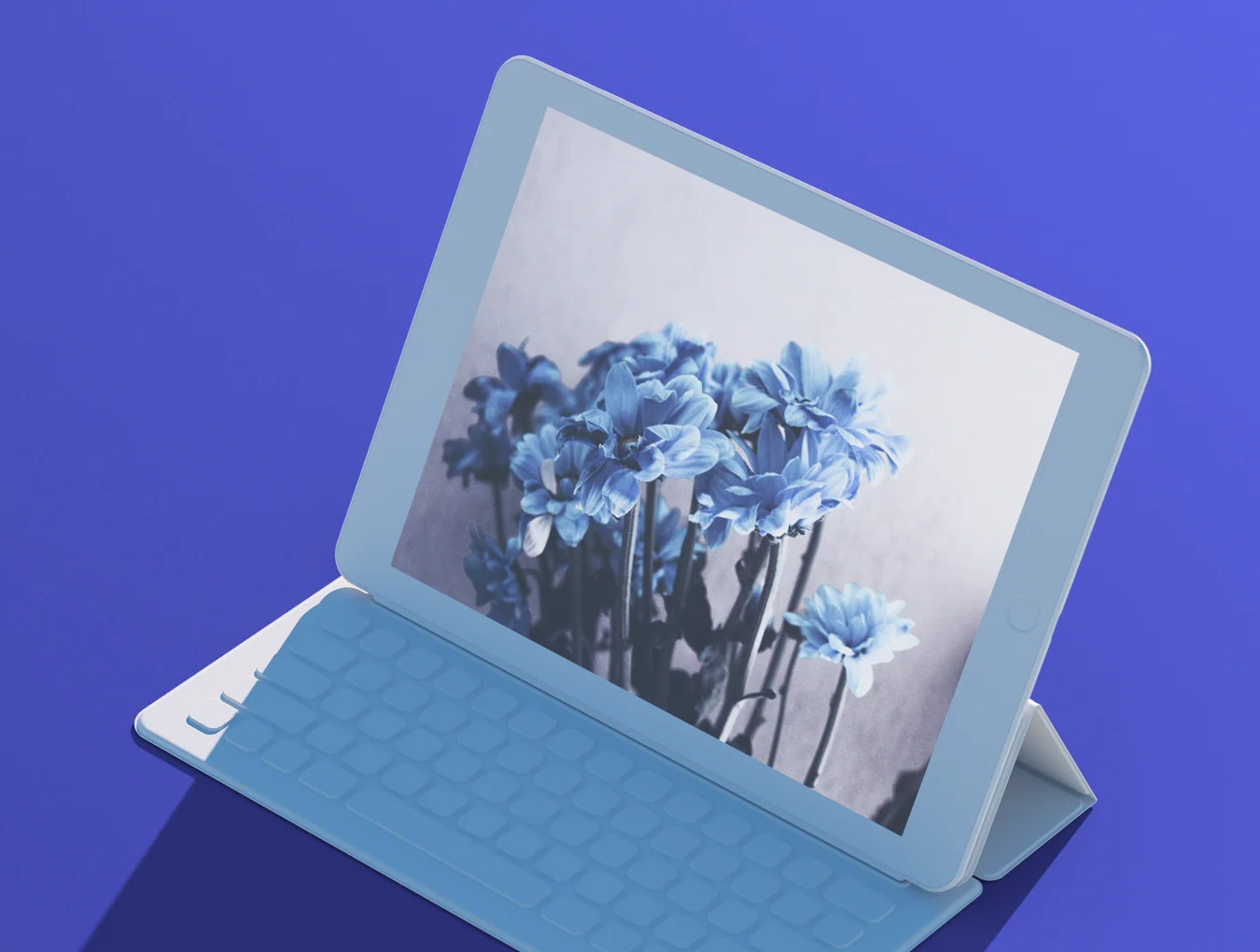 Mockups365: Day 7 2