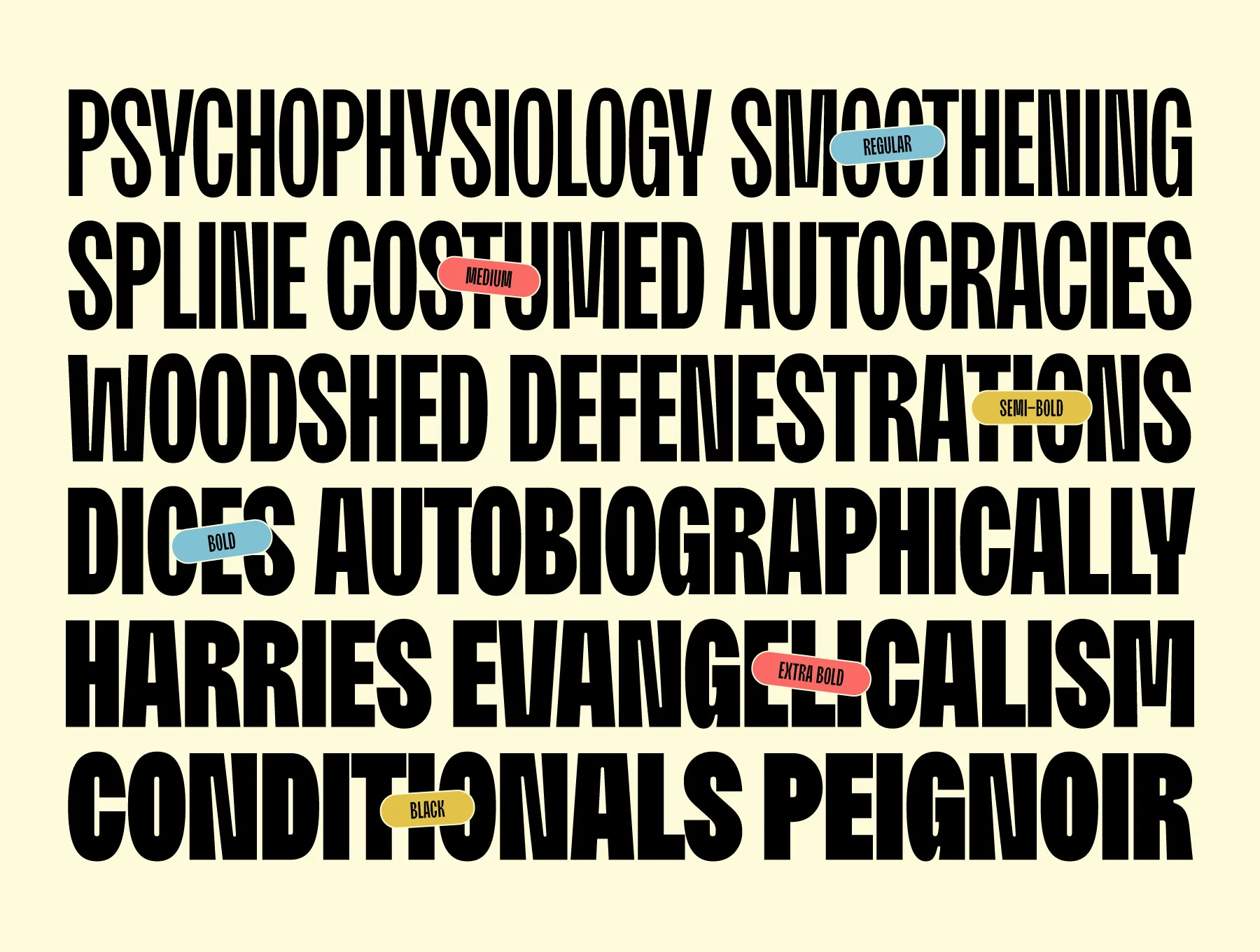 Moldin - Condensed Sans Serif Font 8
