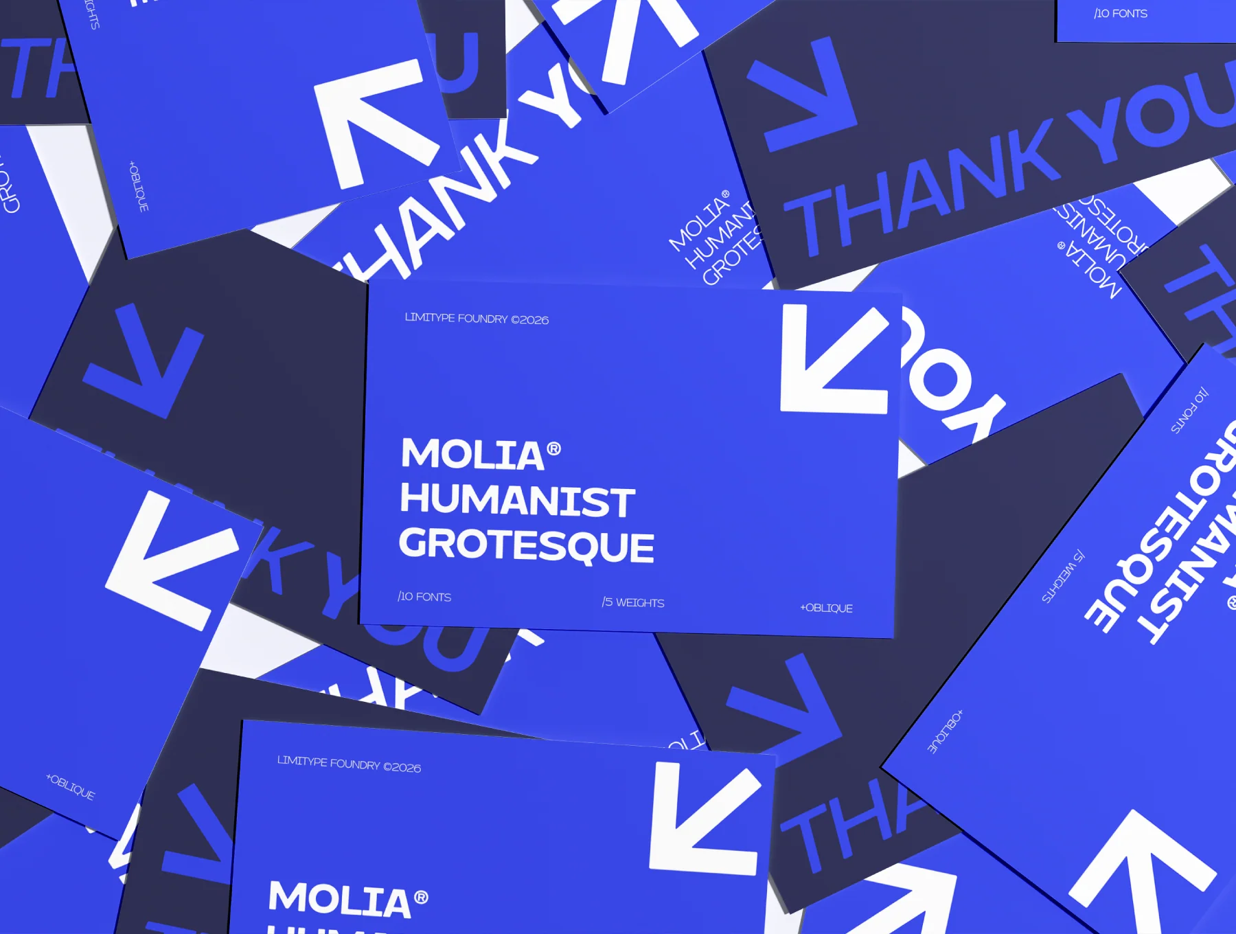 Molia 12