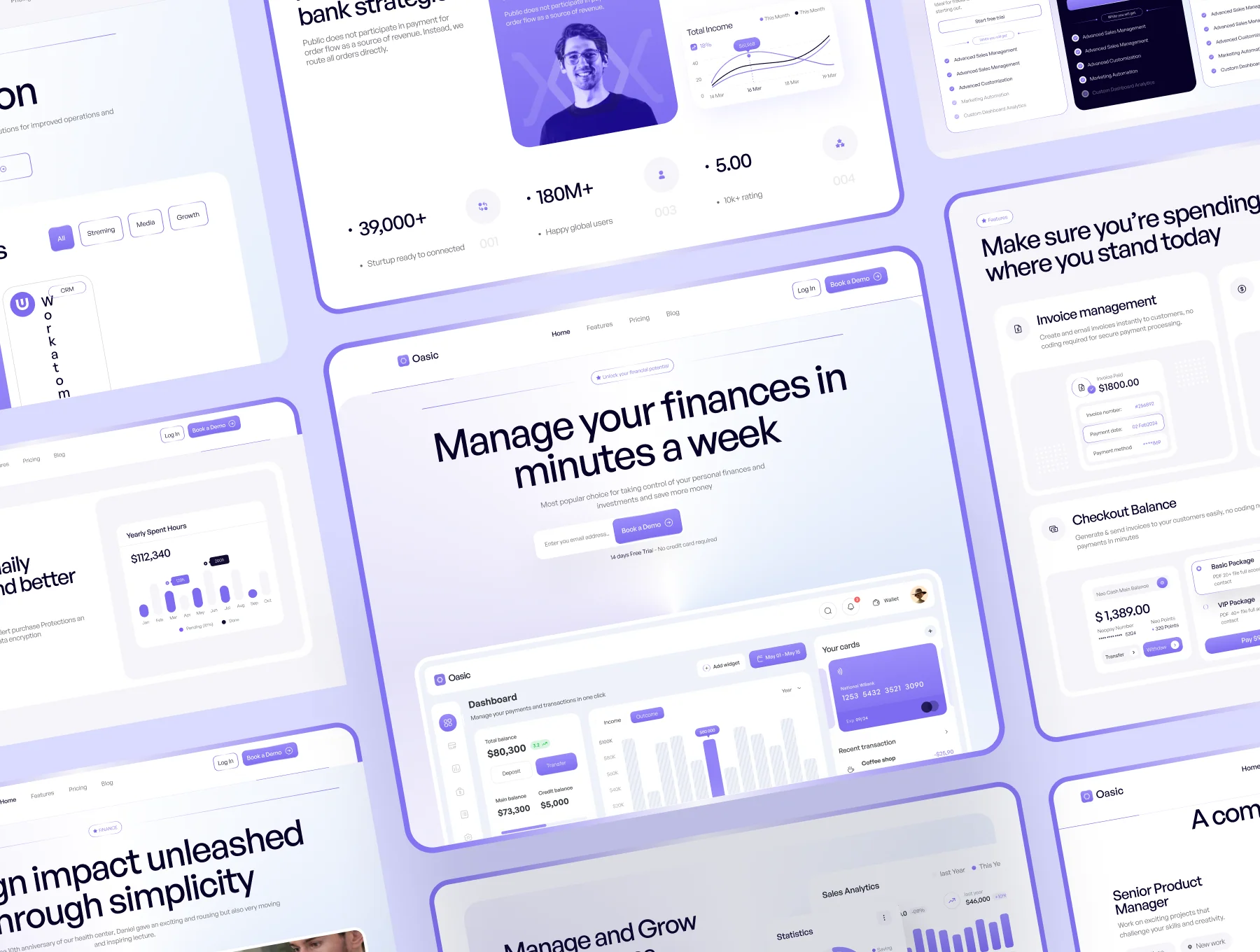 Money Management SaaS Website 3