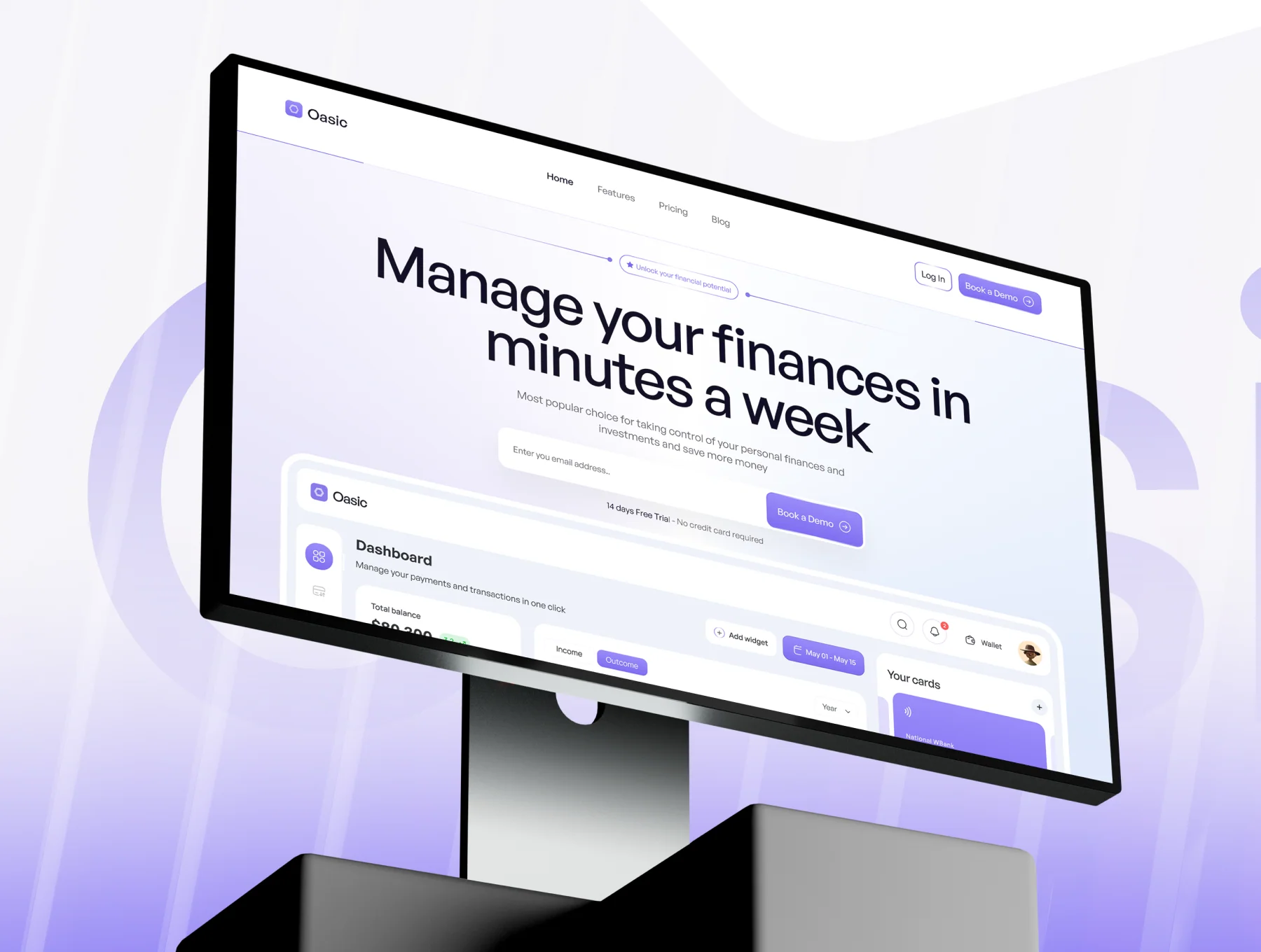 Money Management SaaS Website 4