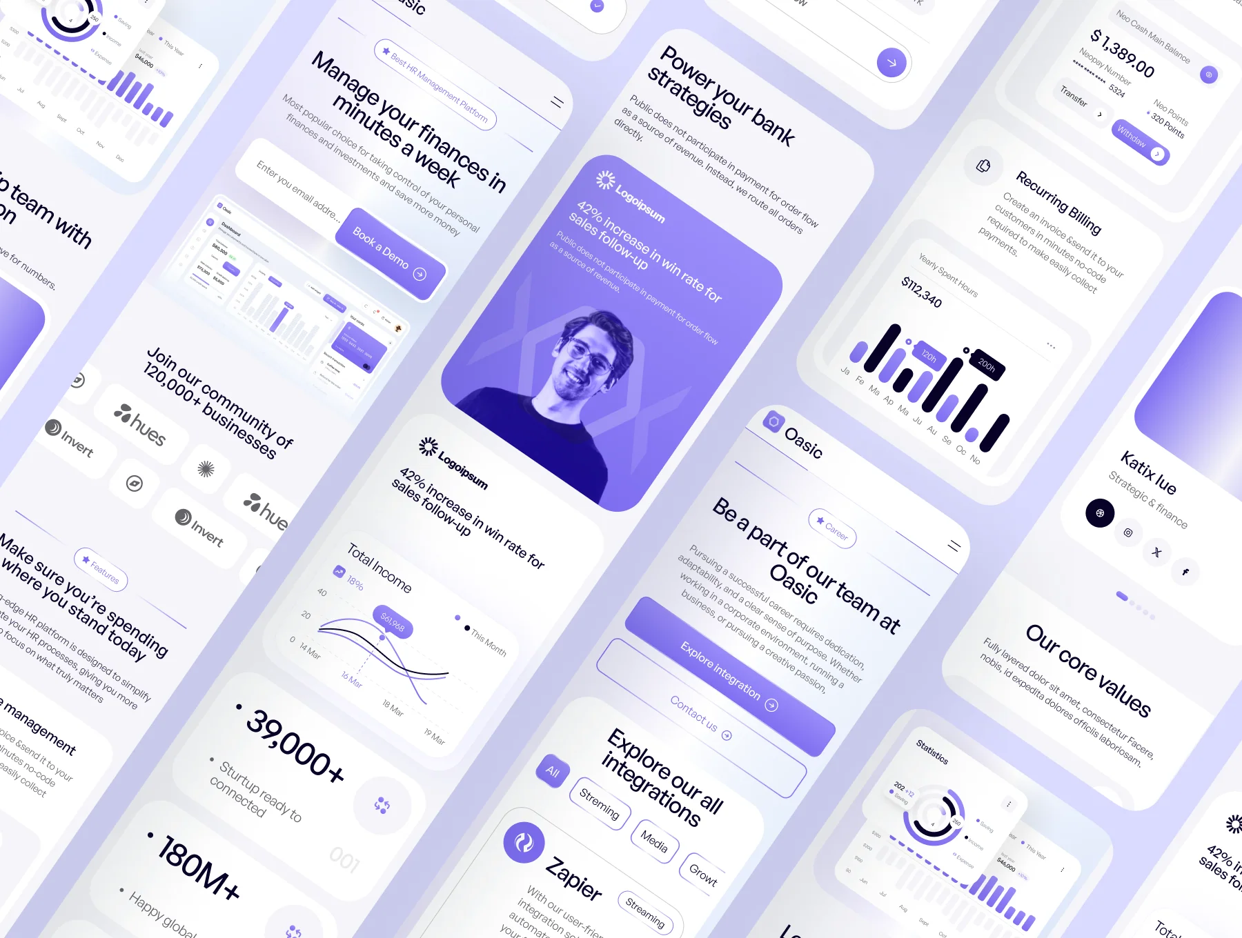 Money Management SaaS Website 7