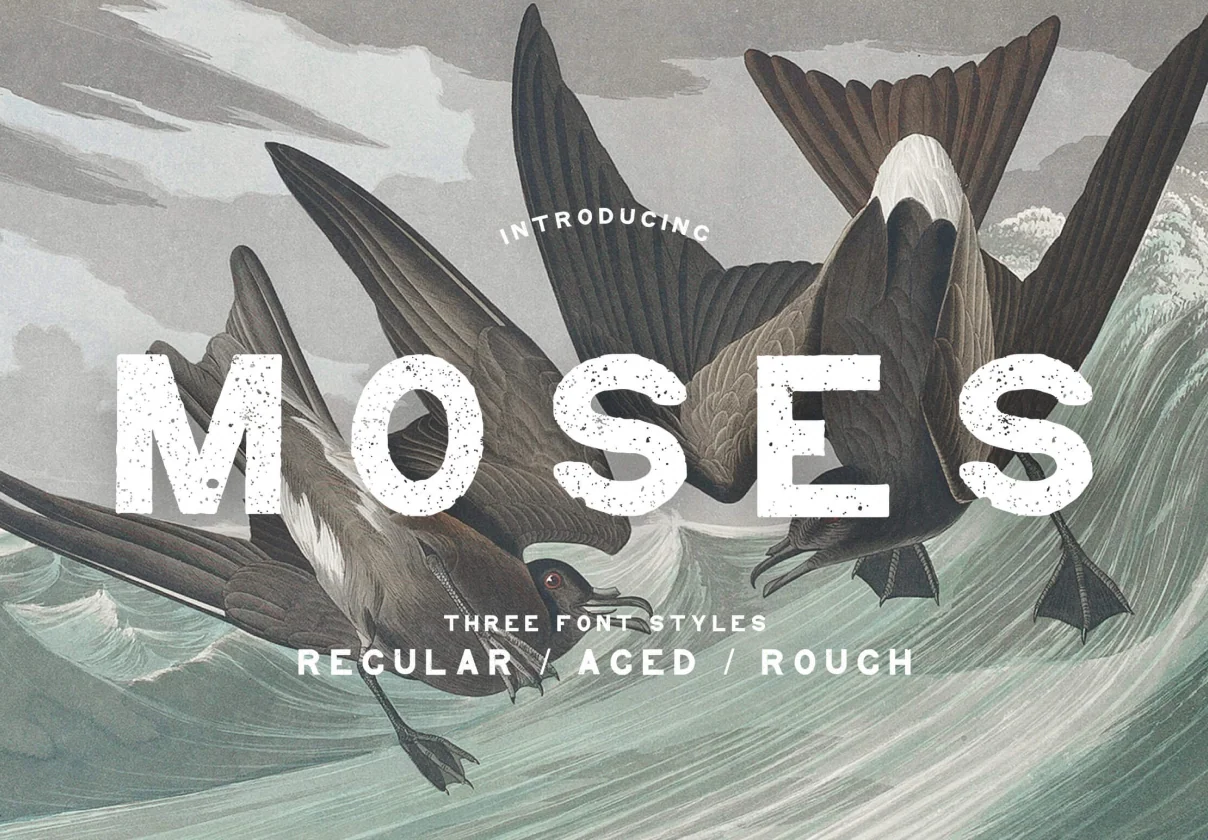 Moses – Display Grotesque Typeface (Regular, Rough, Aged)