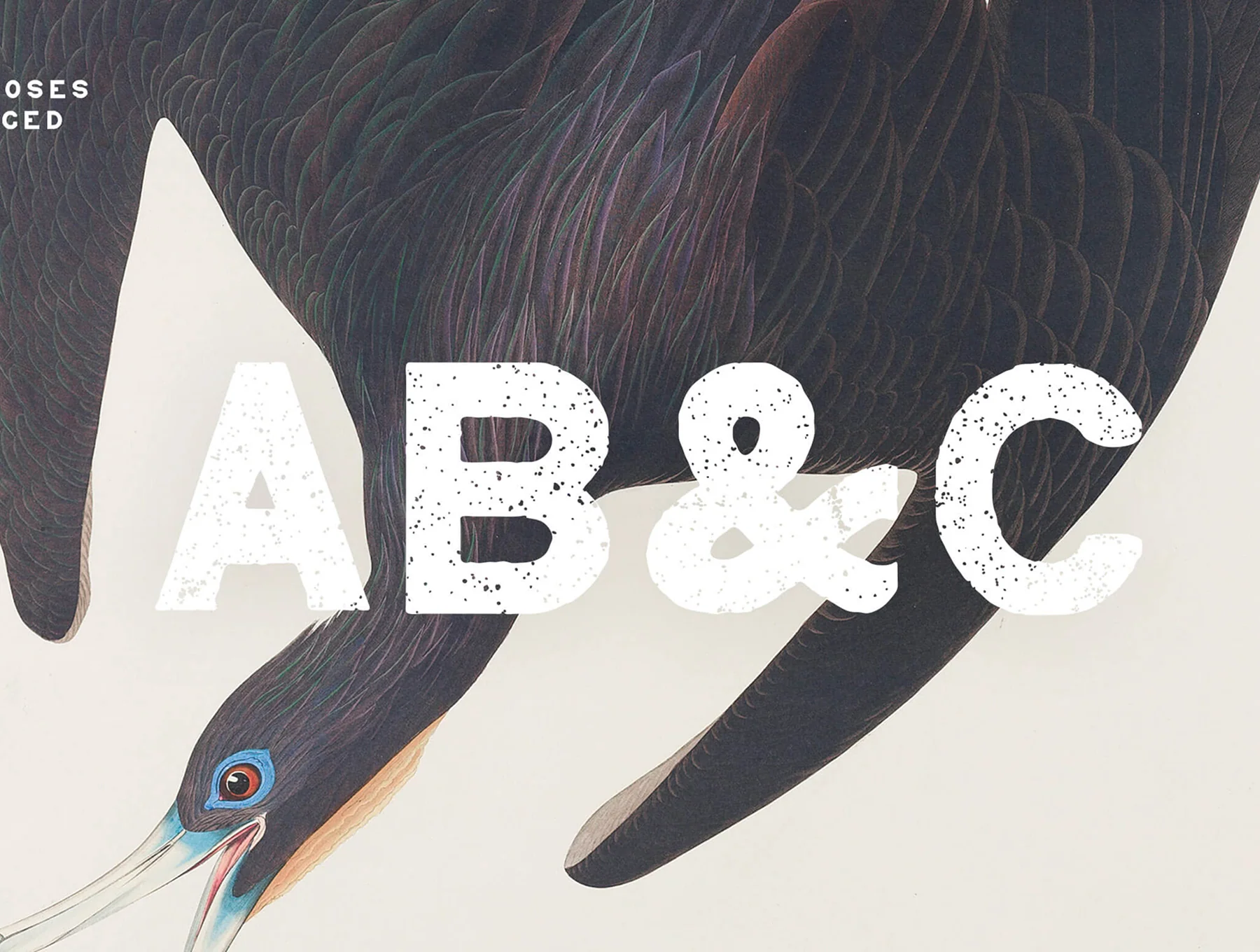 Moses – Display Grotesque Typeface (Regular, Rough, Aged) 7