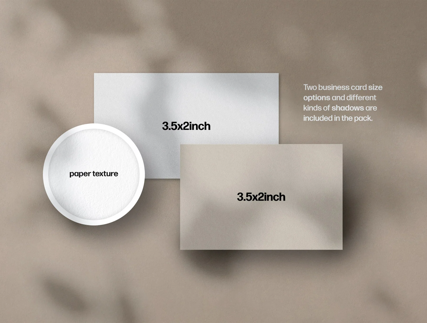Mote Business Card Mockups 5