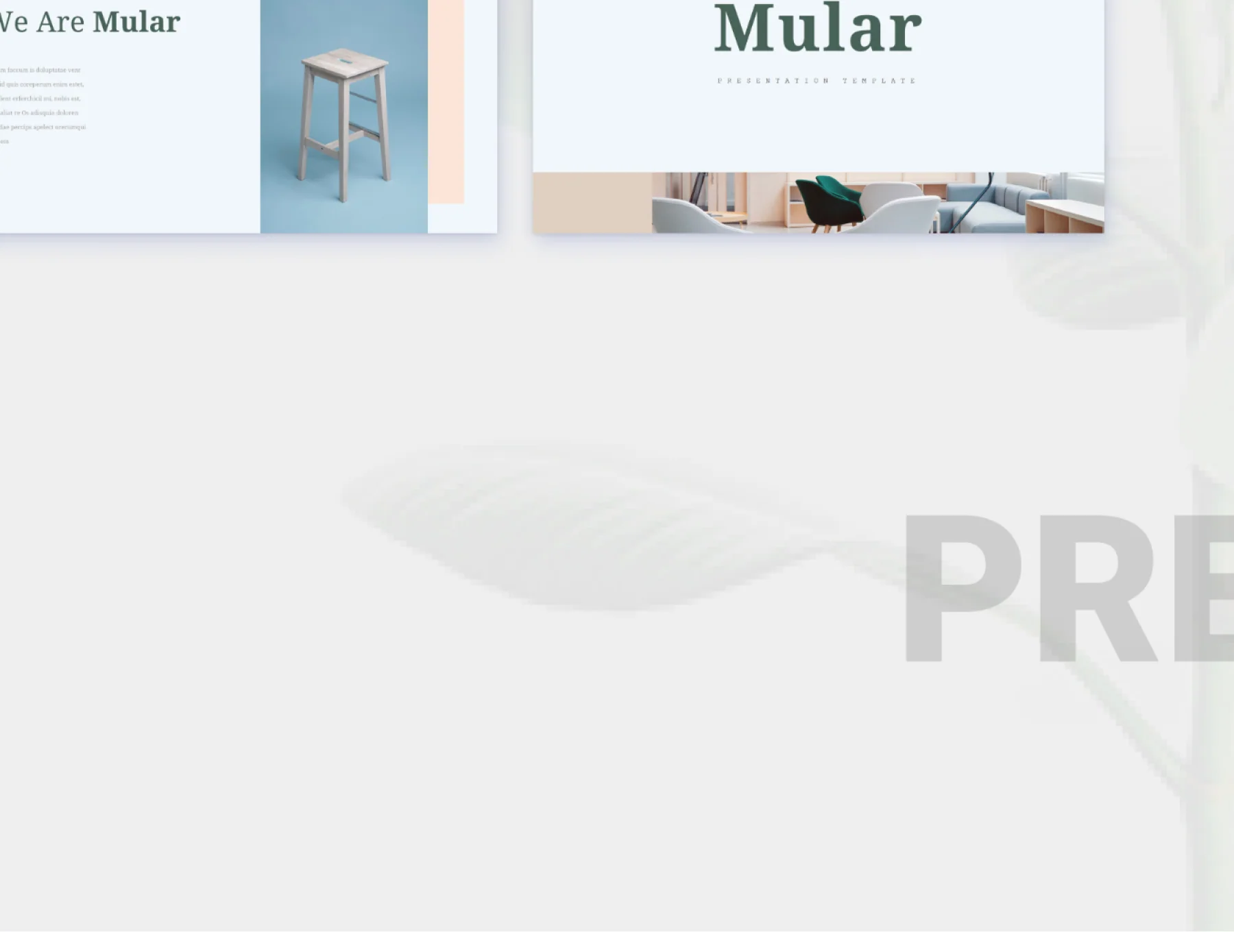 Mular Presentation 7