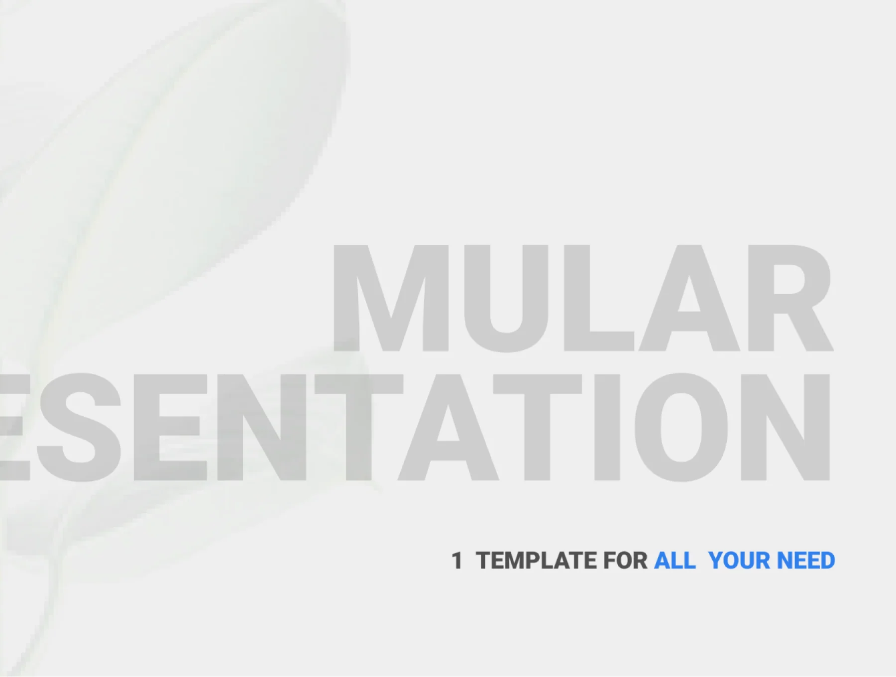 Mular Presentation 8