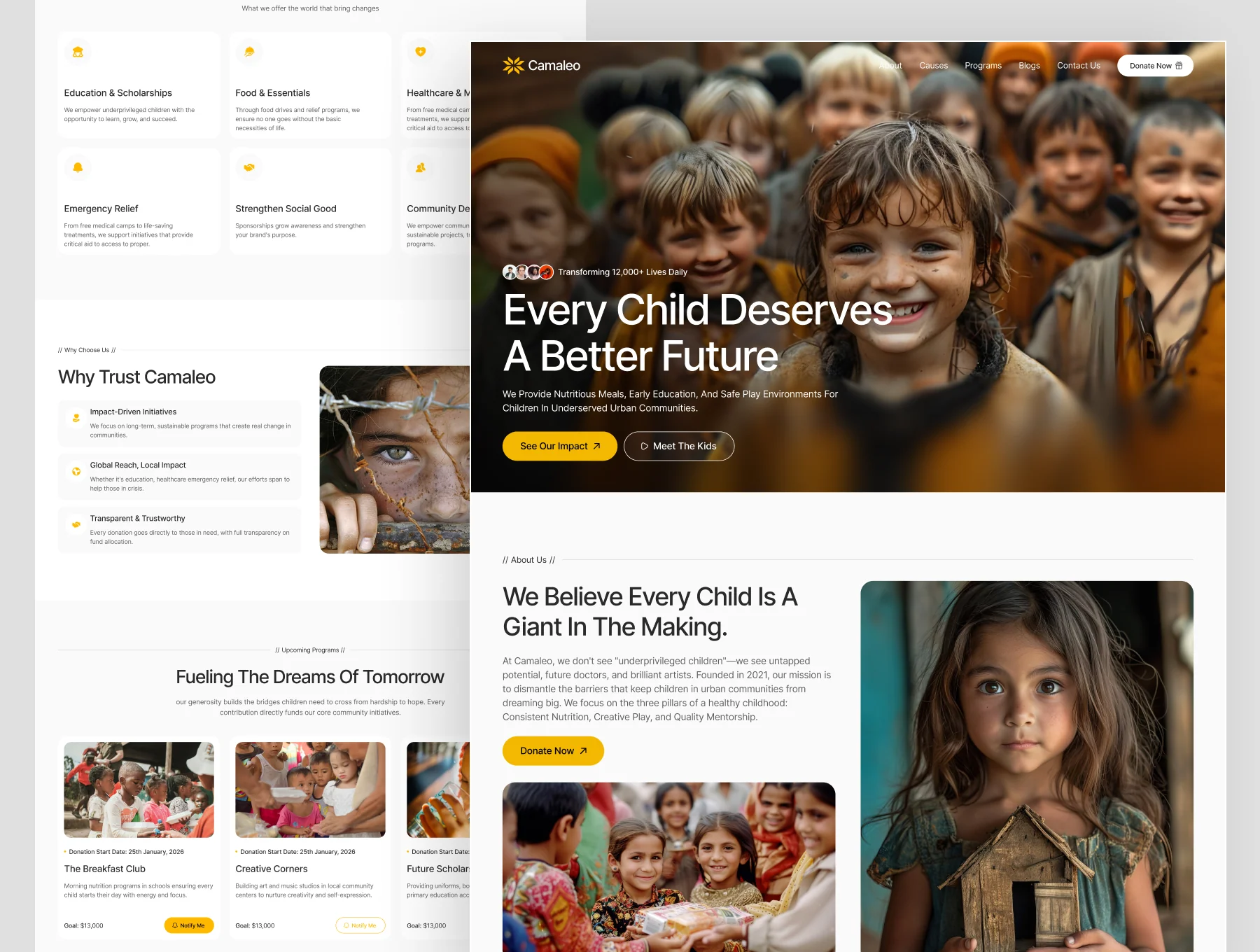 Multi Concept 4 Landing Pages 6