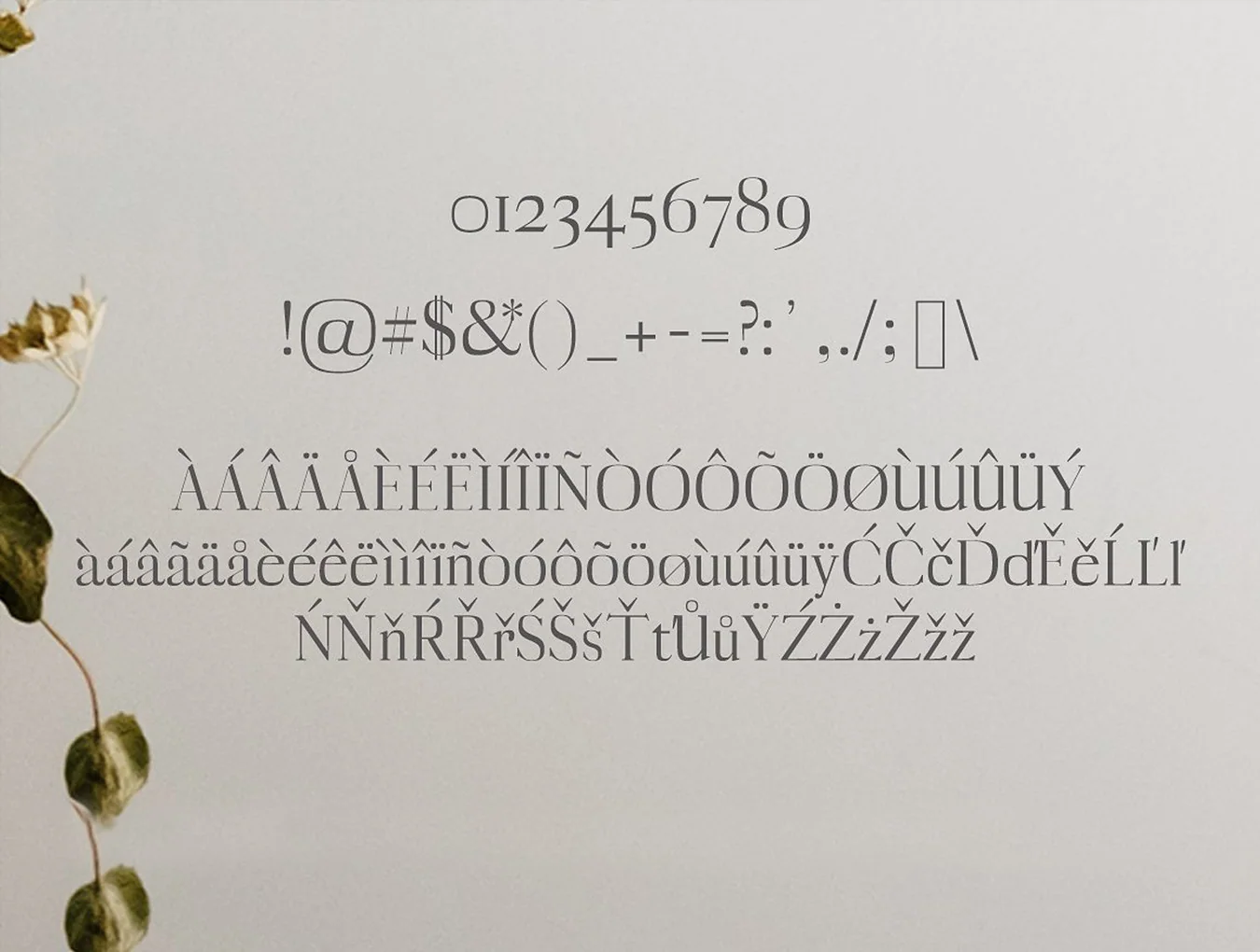 Myron Serif Typeface 3