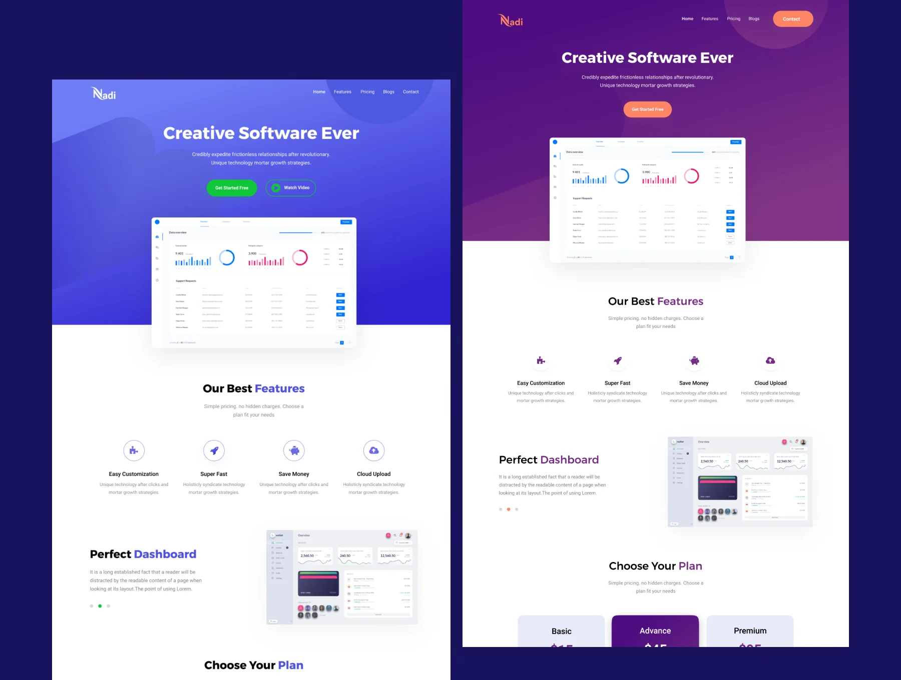 Nadi - SaaS Landing Page 2