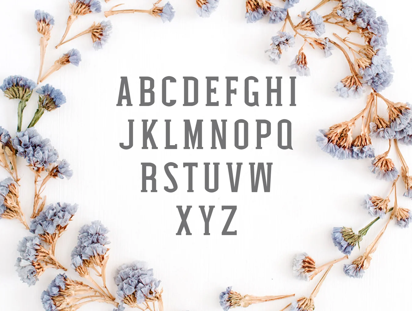 Nasya Slab Serif Family 2