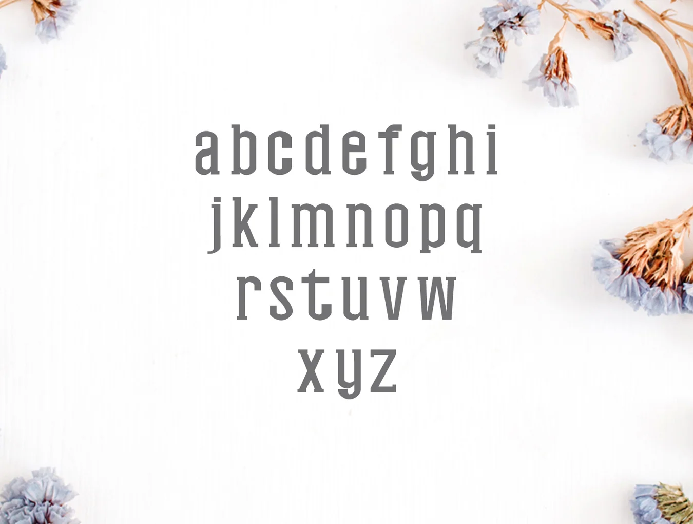 Nasya Slab Serif Family 3