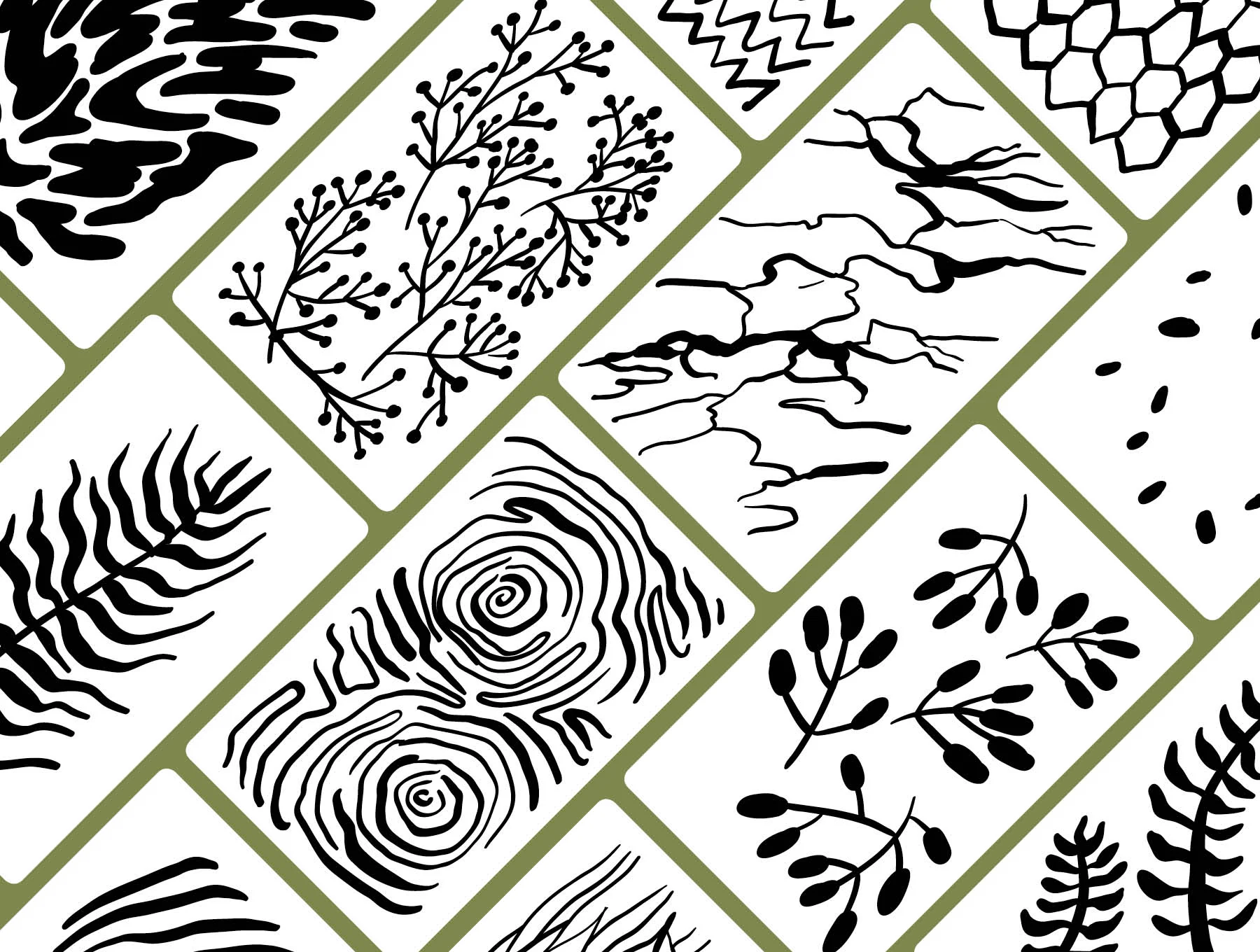 Nature Shapes Backgrounds & Patterns #2 5