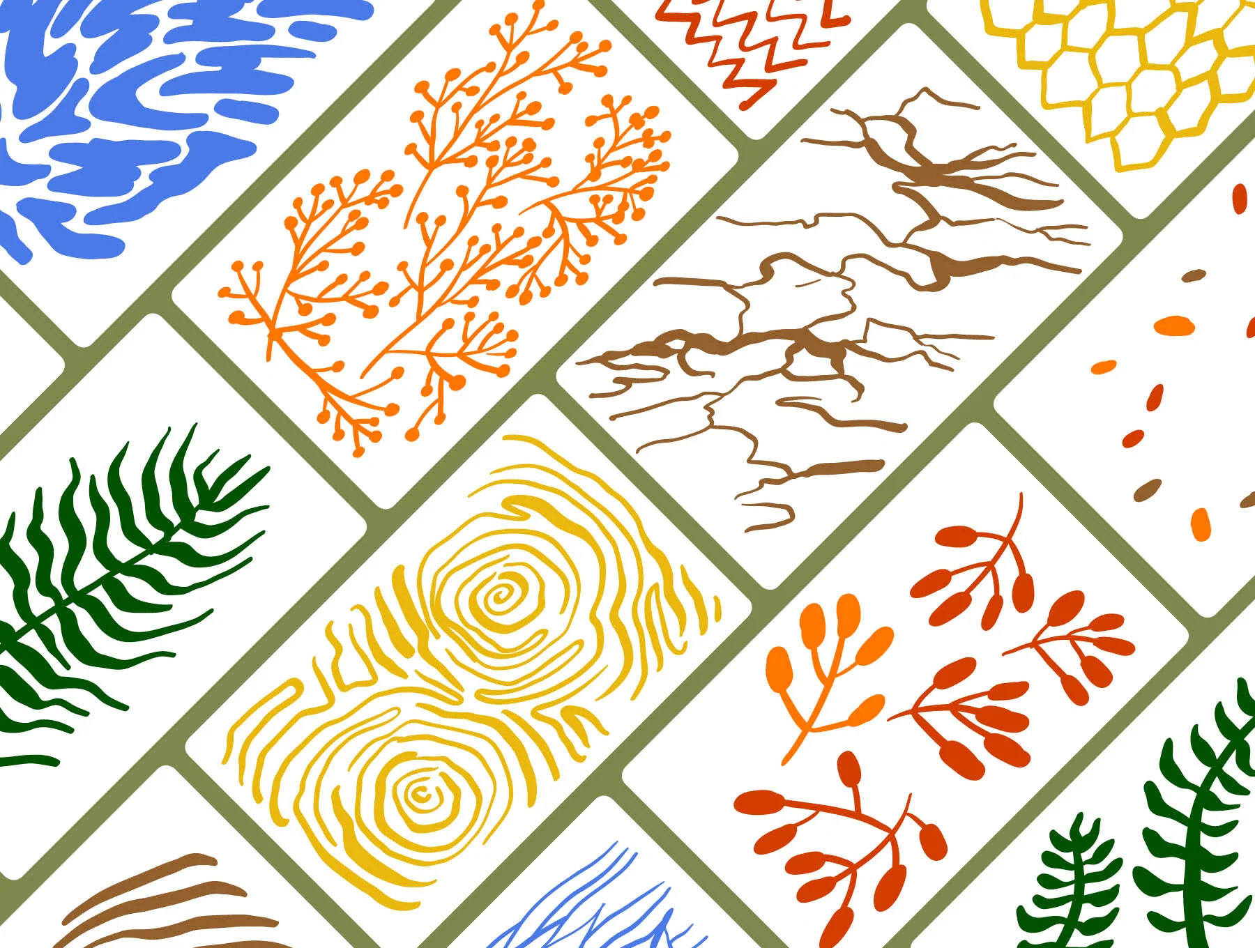 Nature Shapes Backgrounds & Patterns #2 6