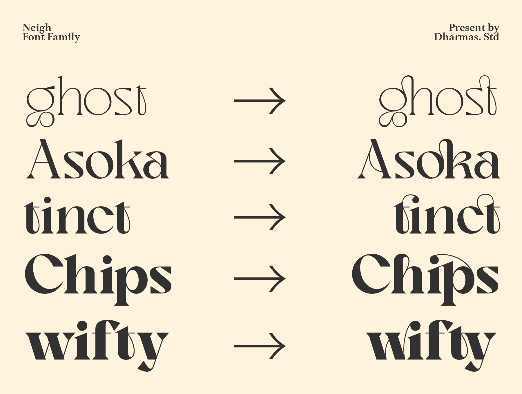 Neigh - Modern Vintage Family Font 6