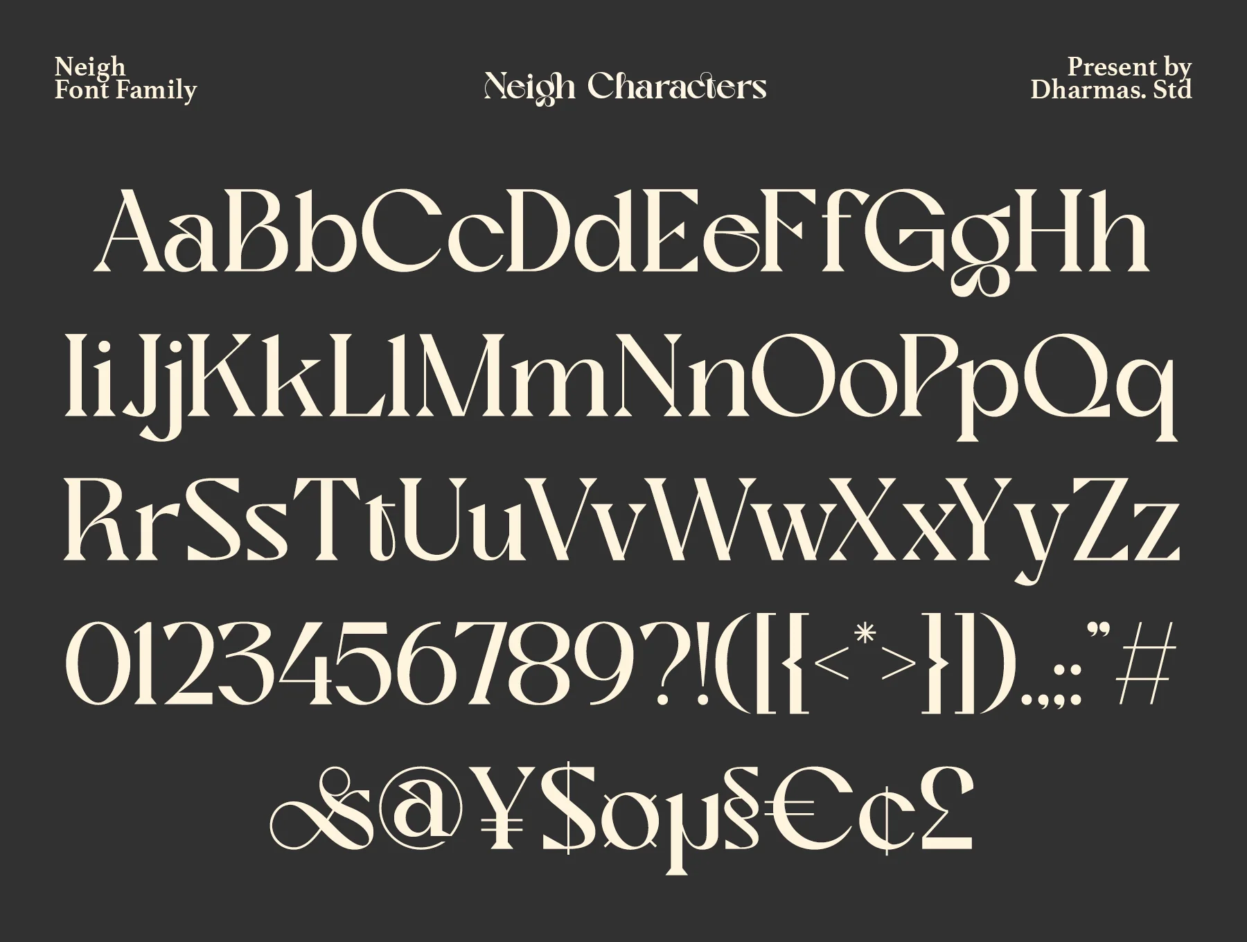 Neigh - Modern Vintage Family Font 8