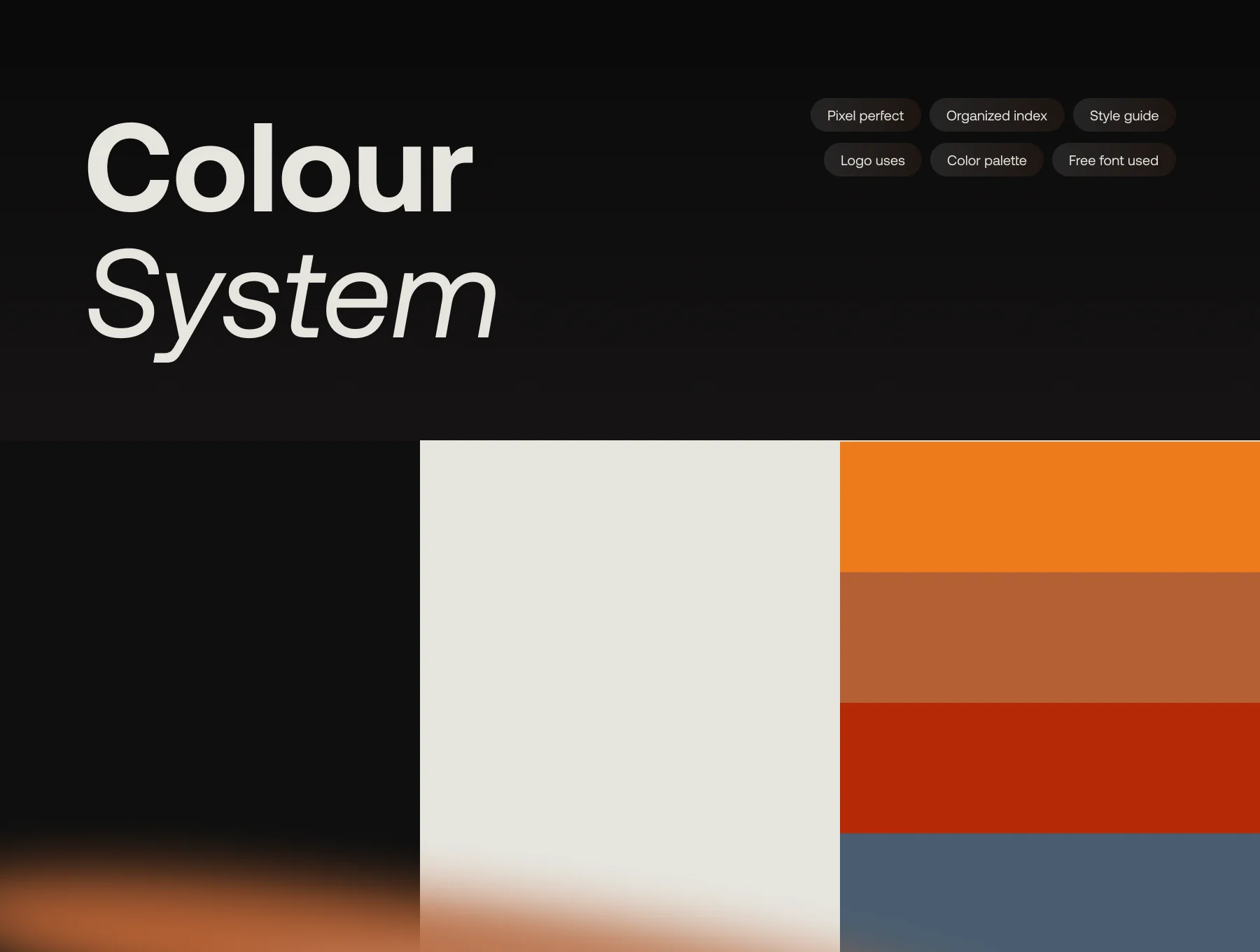 Neonal - Brand Identity System 4