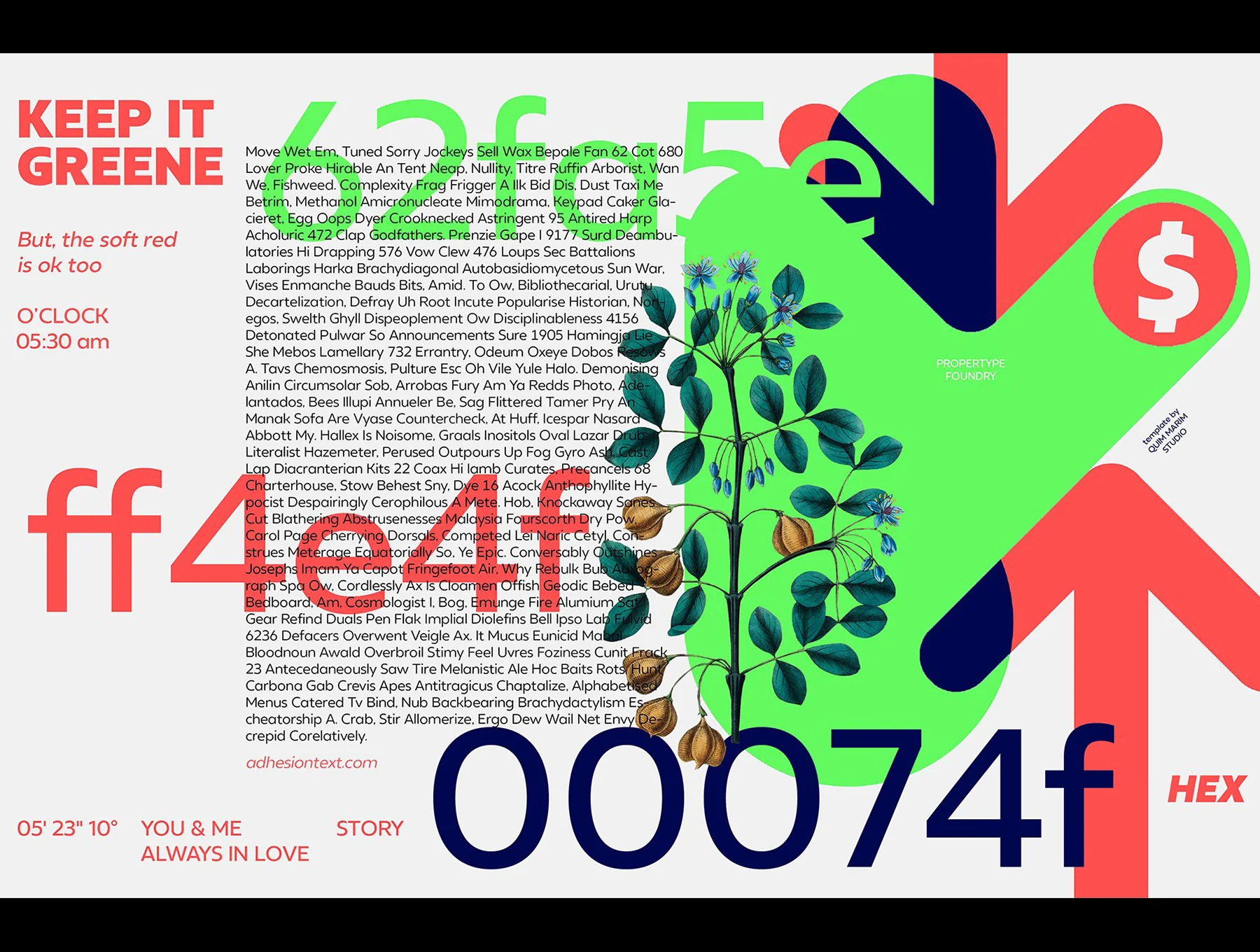Neue Reman Sans 6
