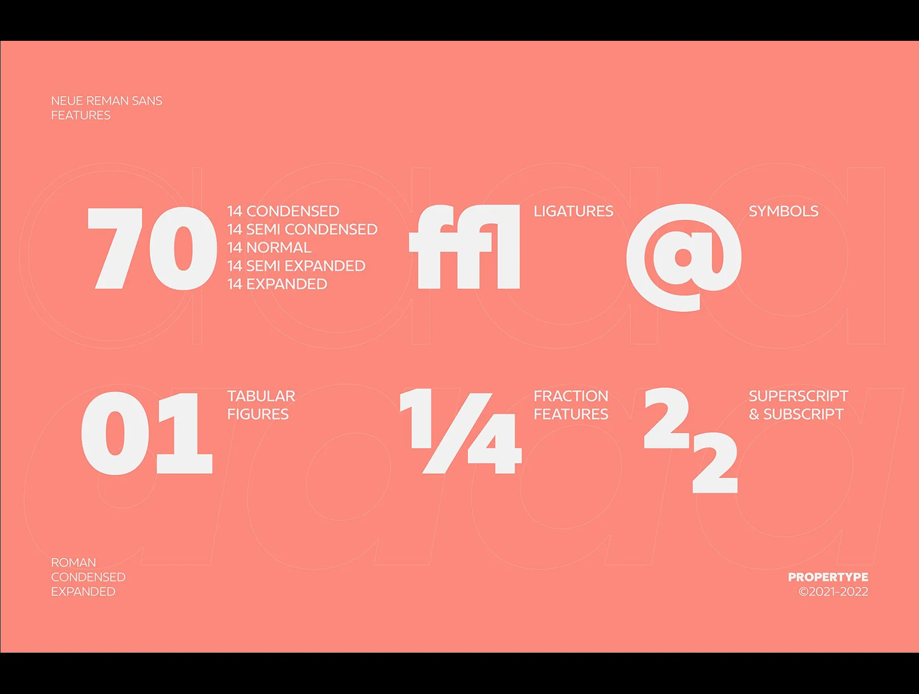 Neue Reman Sans 8