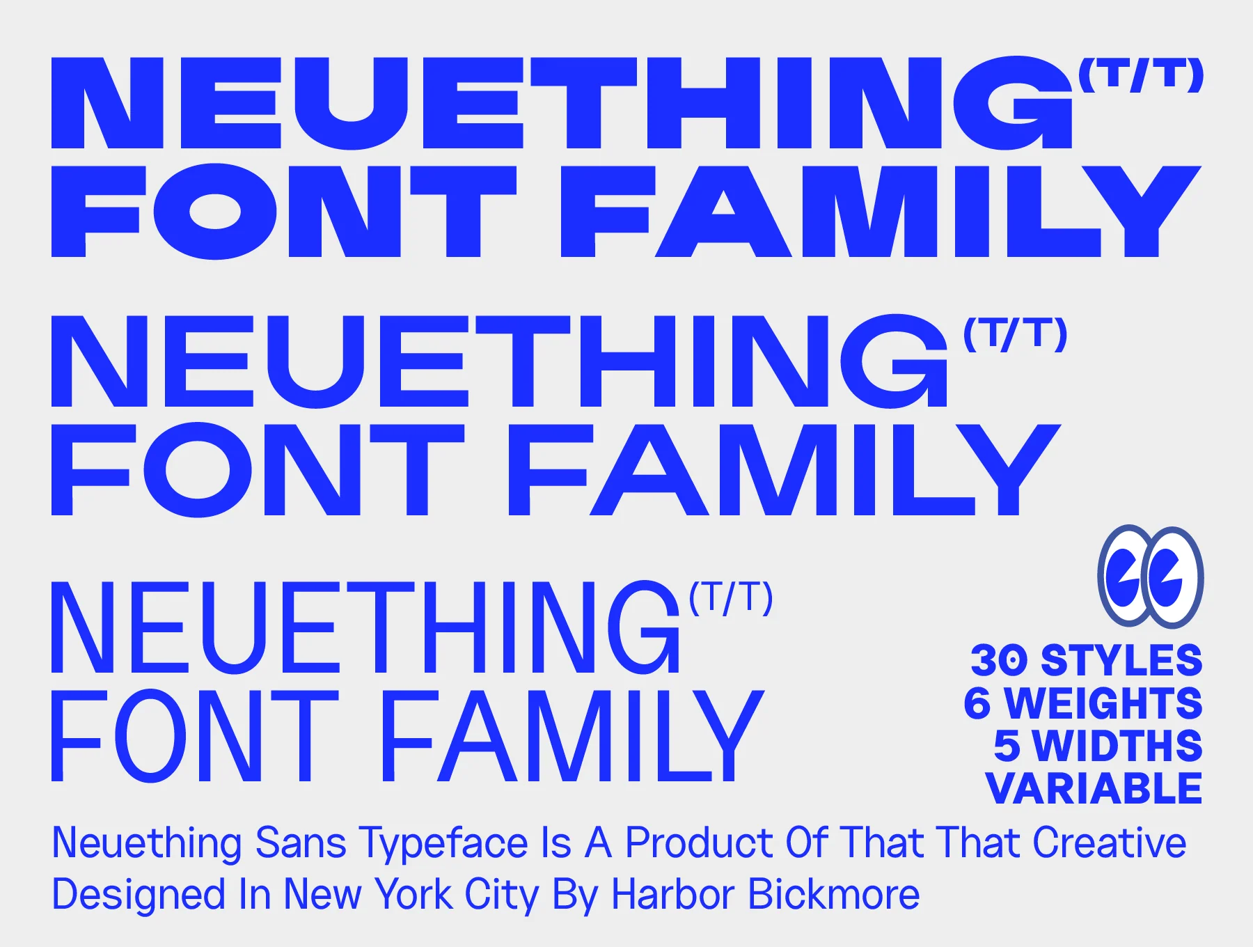 Neuething Sans (30 Styles)