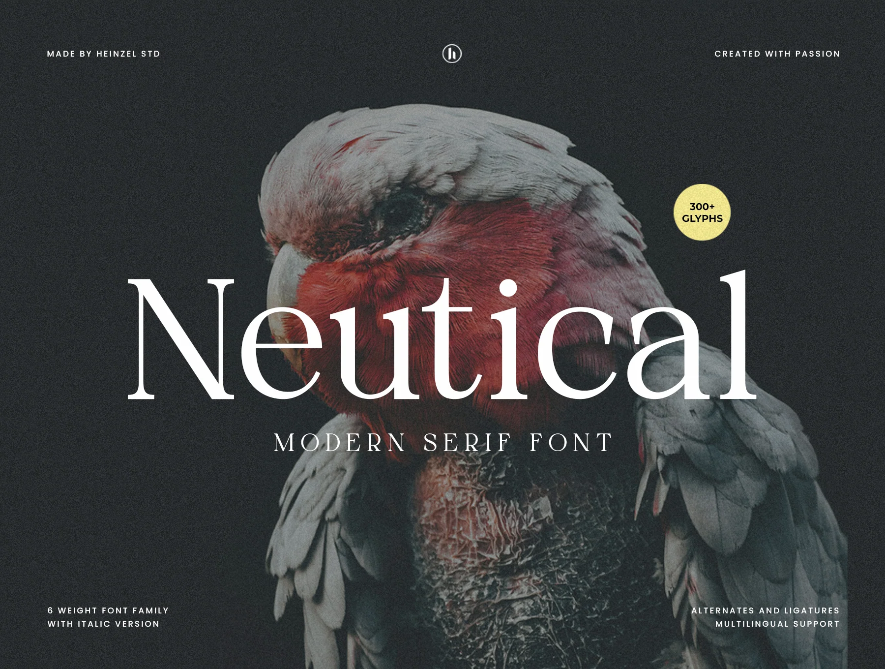 Neutical - 6 Weight Font Family