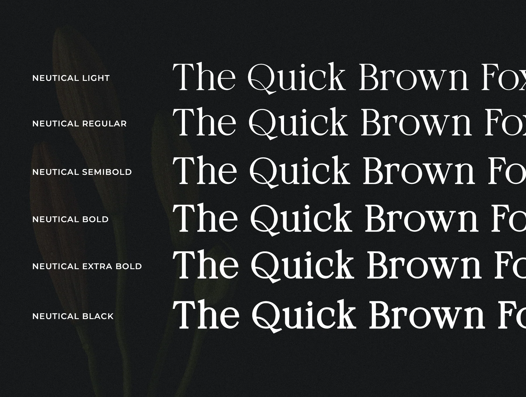 Neutical - 6 Weight Font Family 6