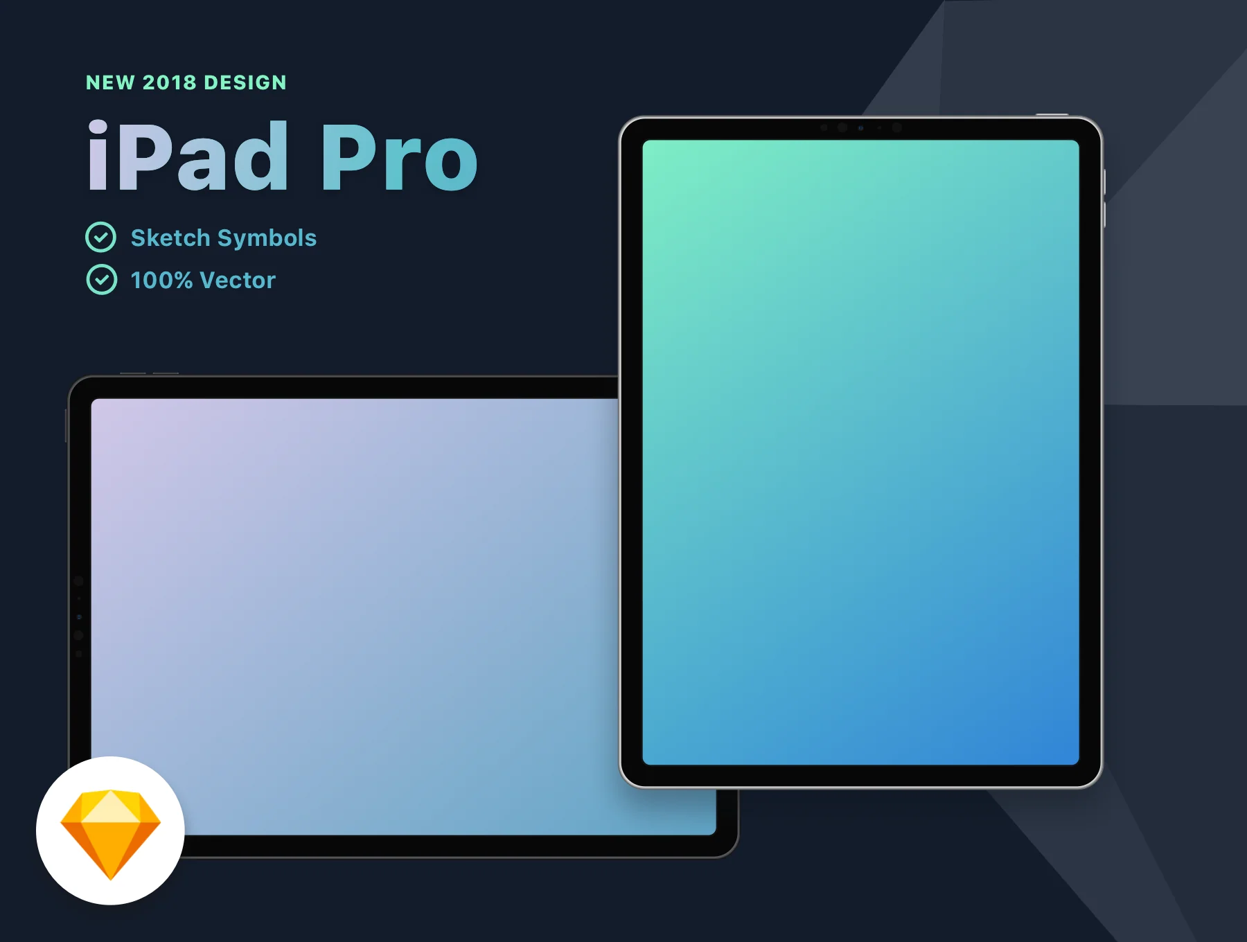 New 2018 iPad Pro