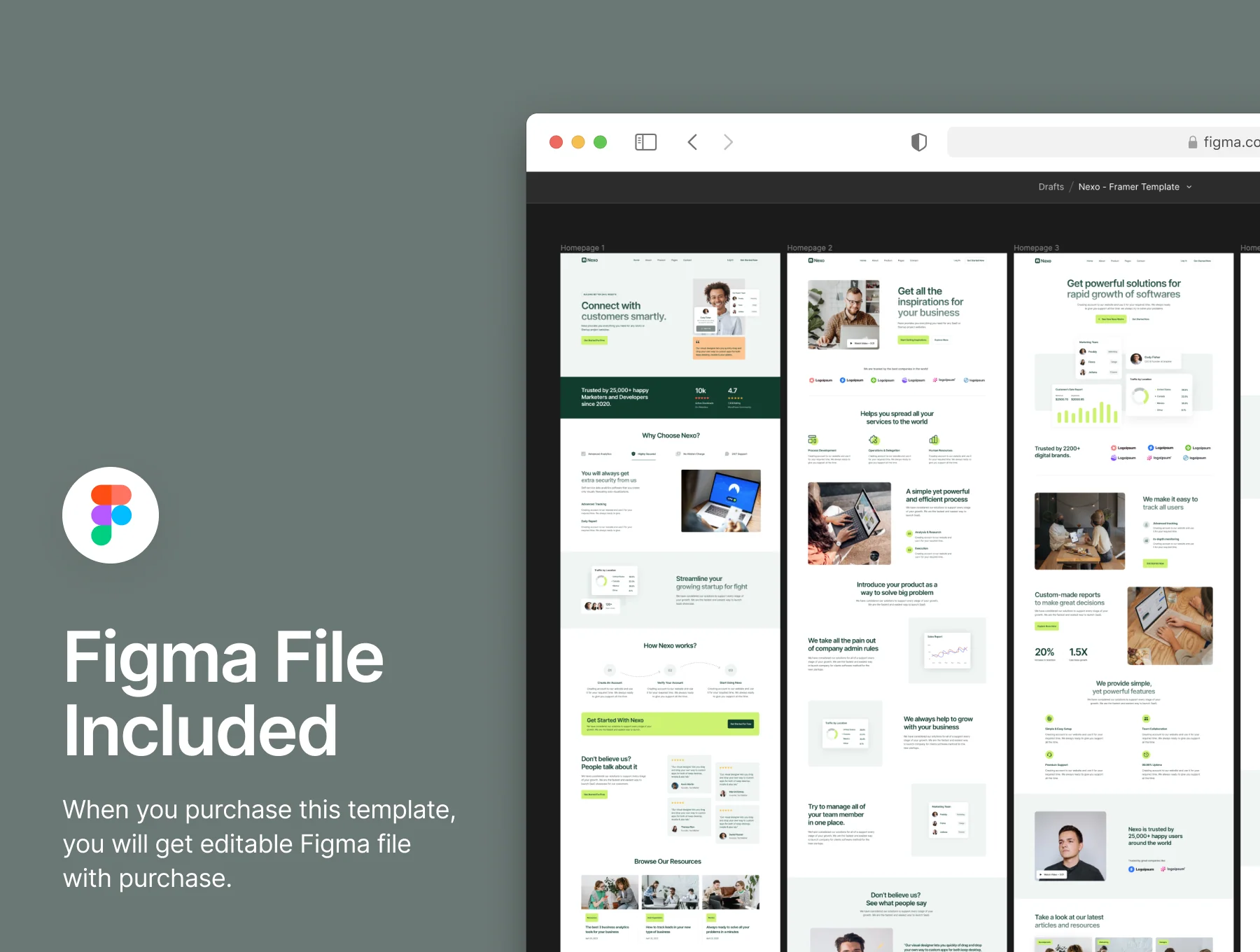 Nexo - Multi-layout Framer SaaS Template 4