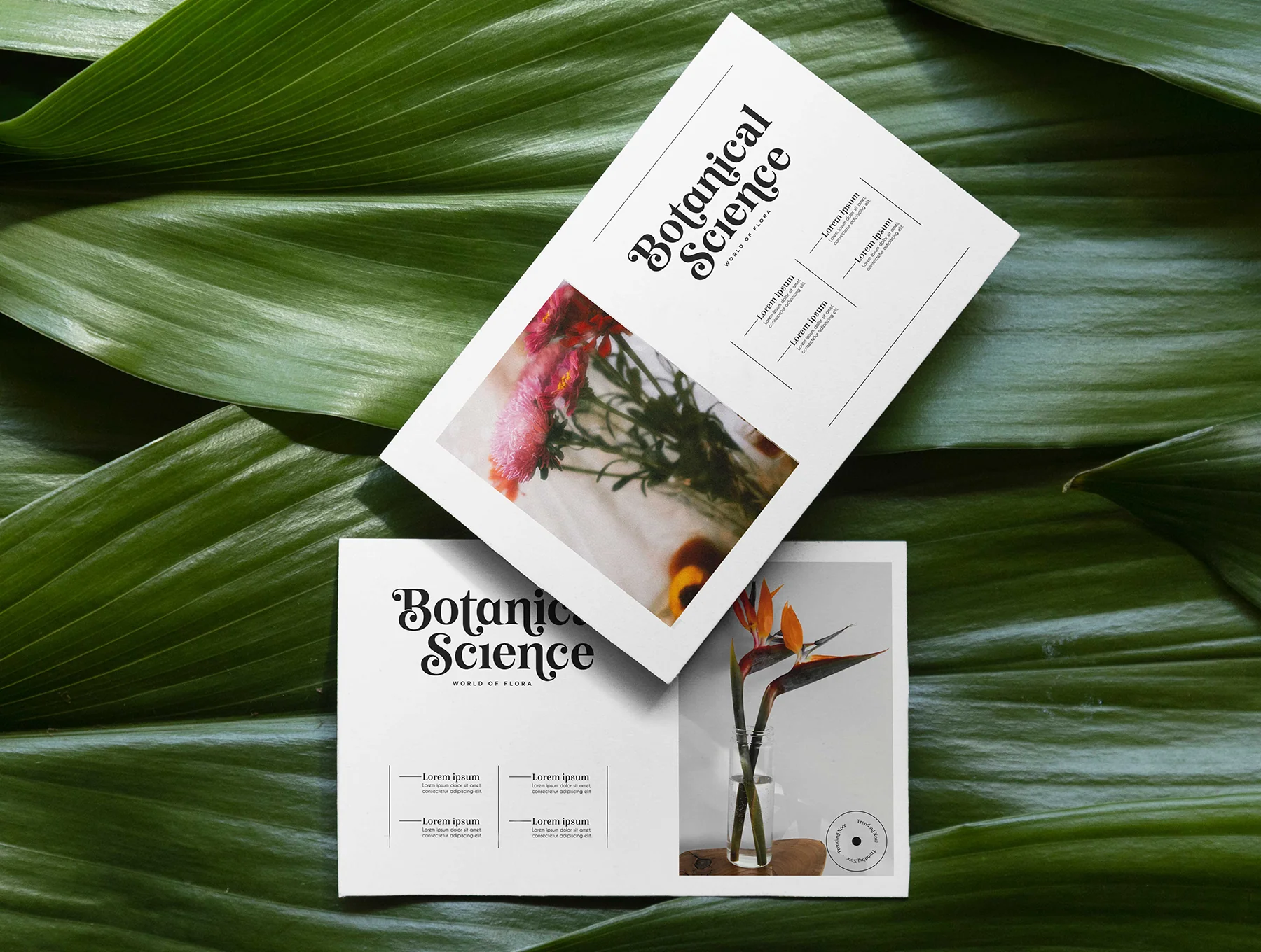 Nomadic Dreams – Modern Serif Font 5