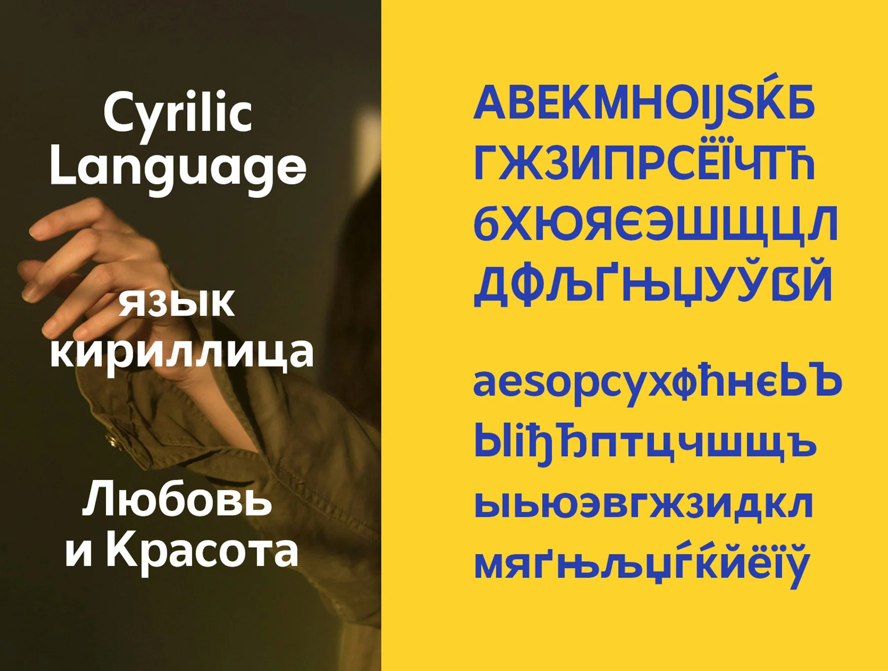 Northern  Sans 3