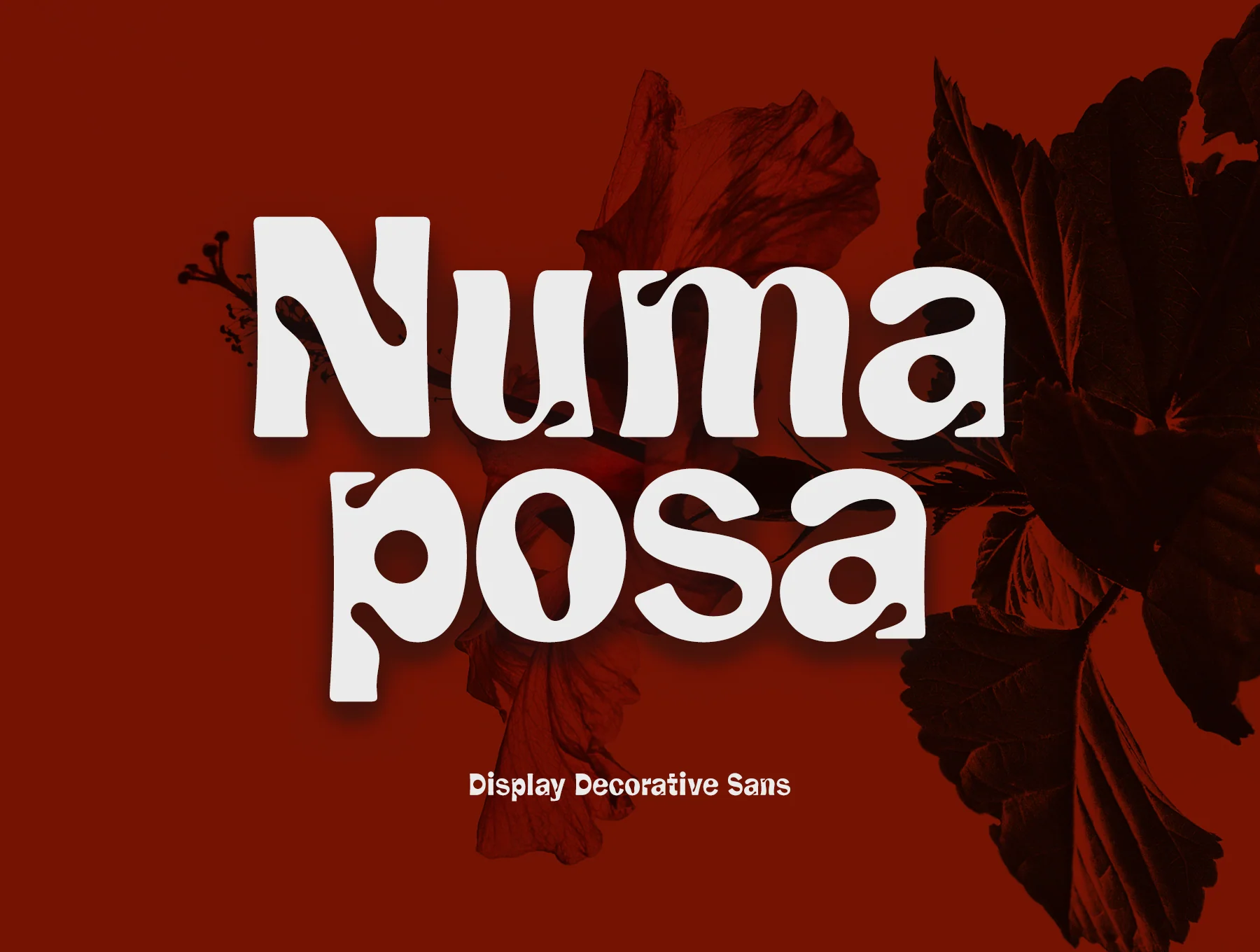 Numaposa 10