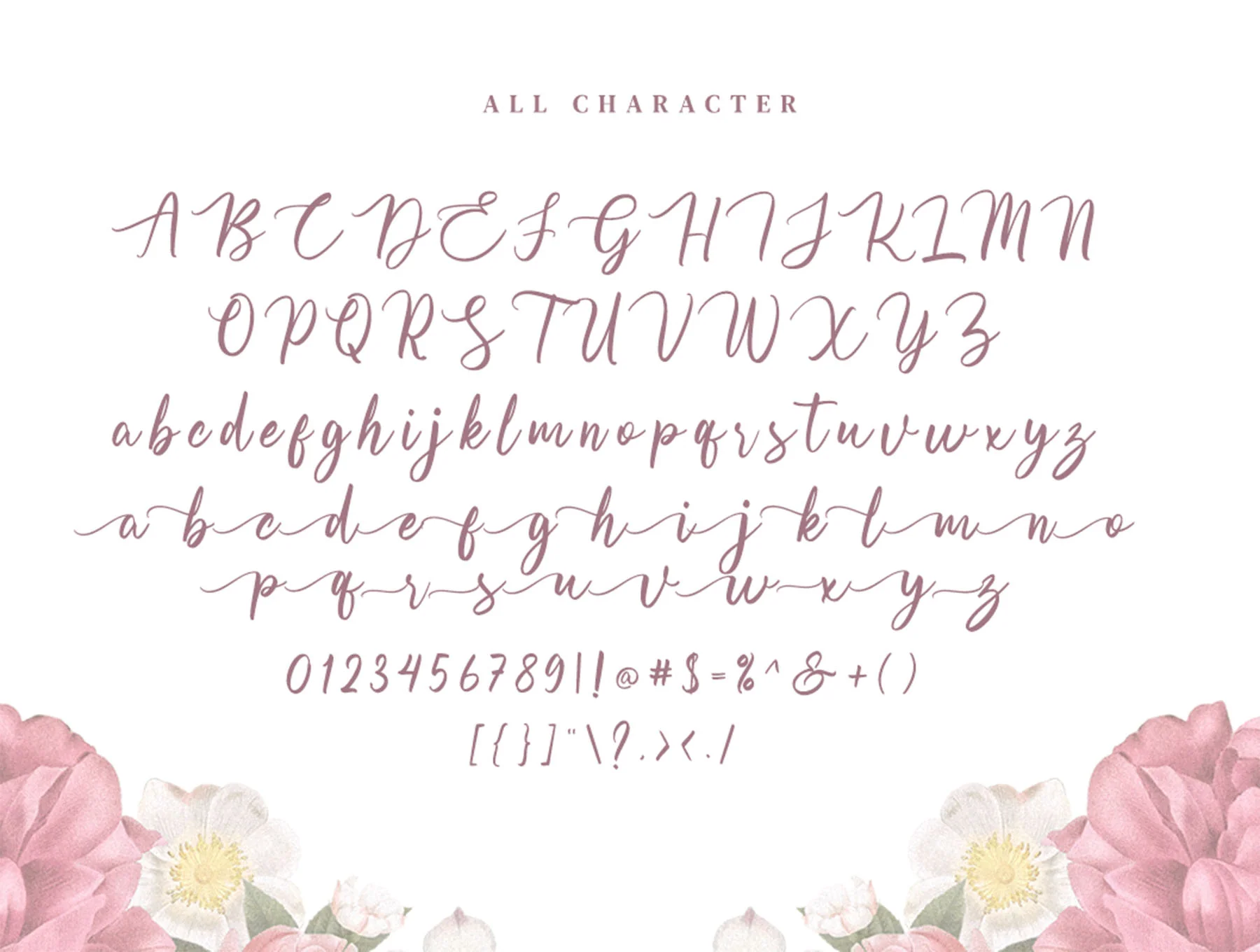 Olsaviella Signature Font 9