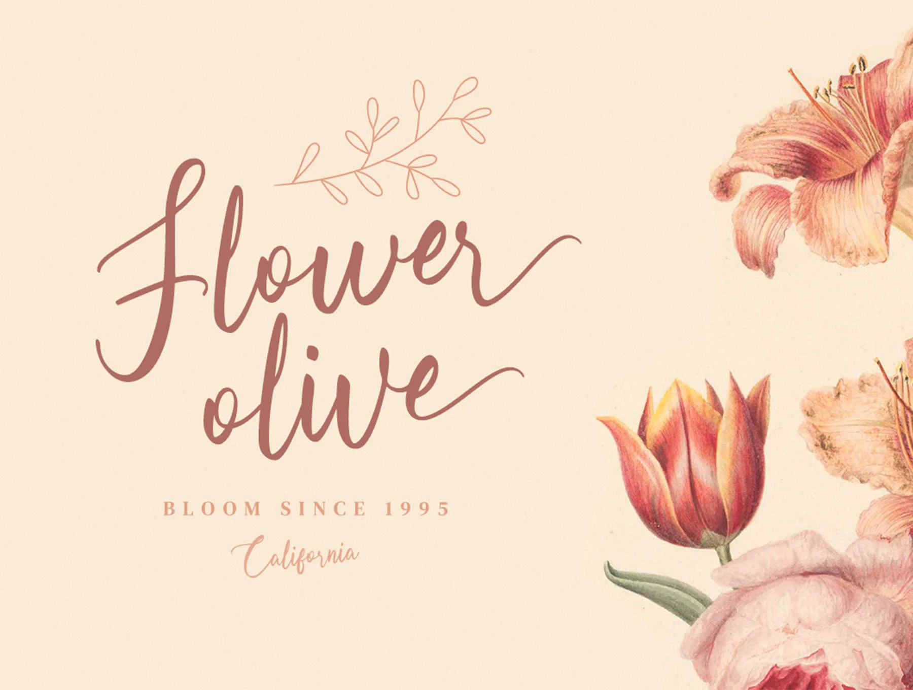 Olsaviella Signature Font 3