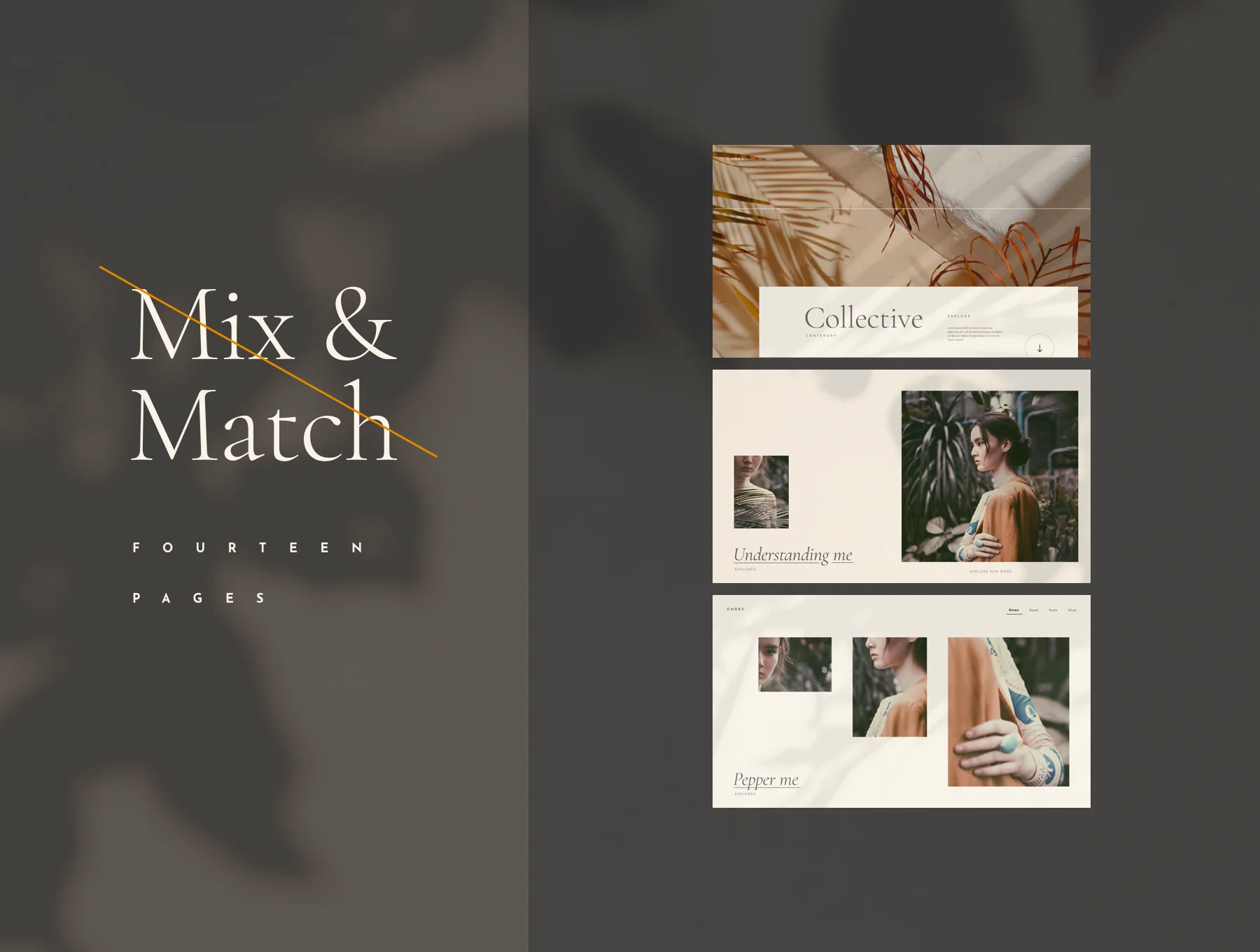 Ombra - UI Kit 3