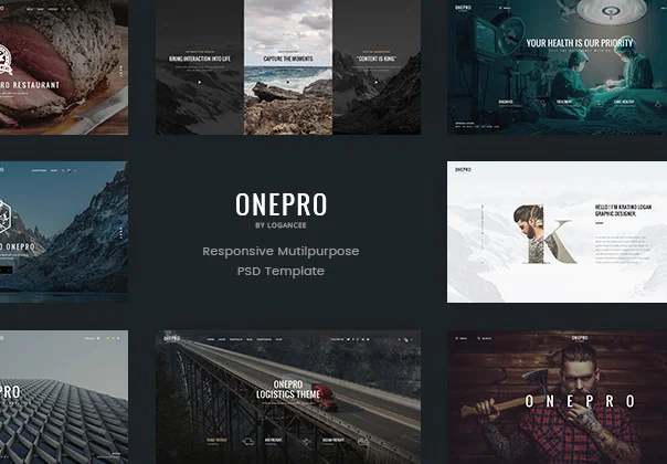 OnePro Web