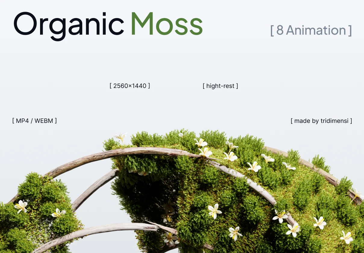 Organic Moss Ecosystem 3D Animation