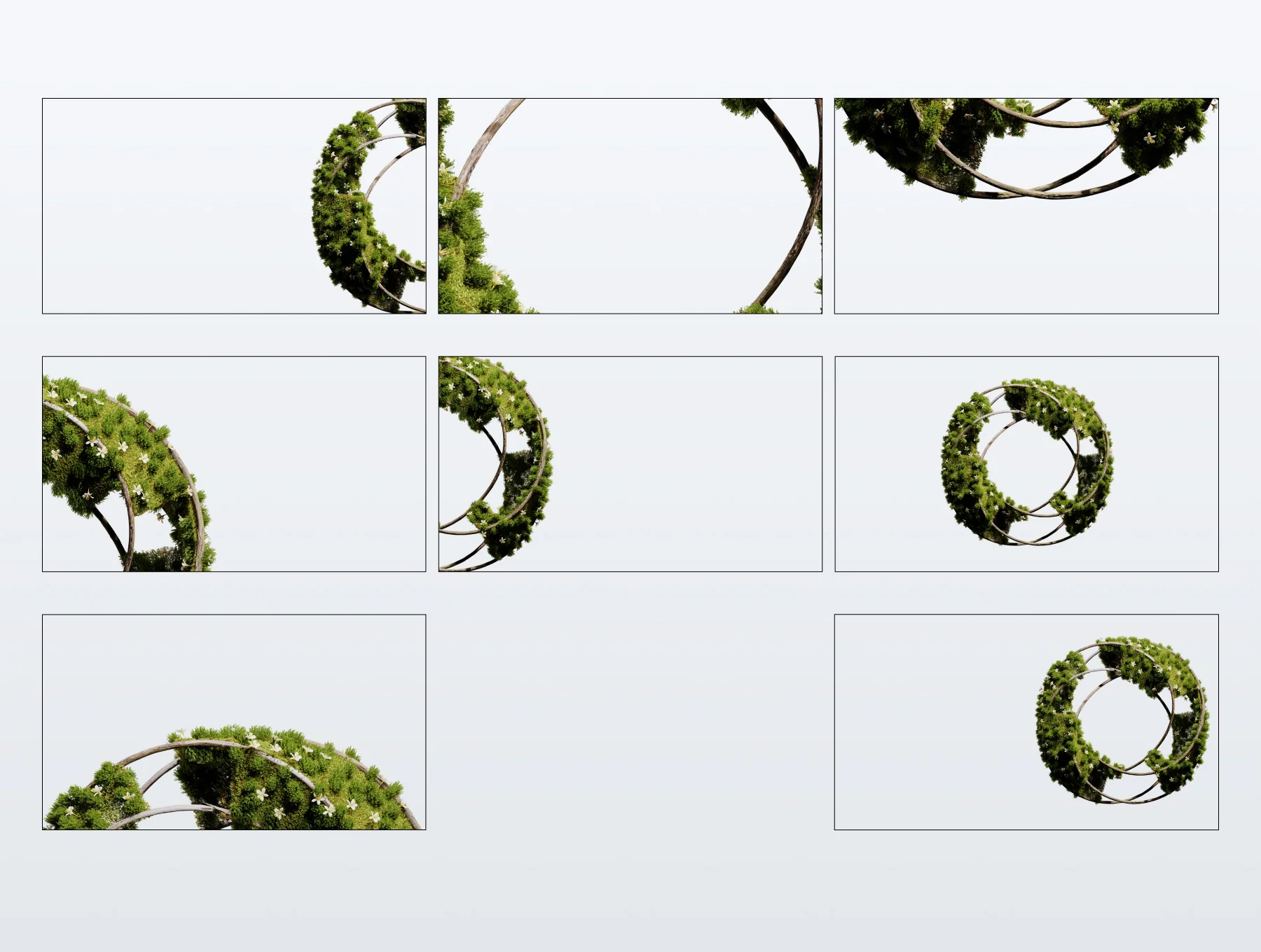 Organic Moss Ecosystem 3D Animation 5