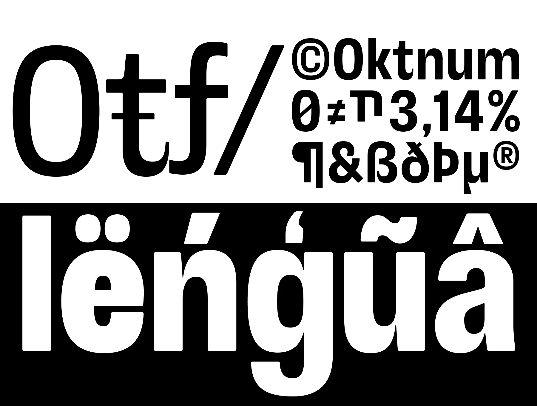 Otflag Sans 6