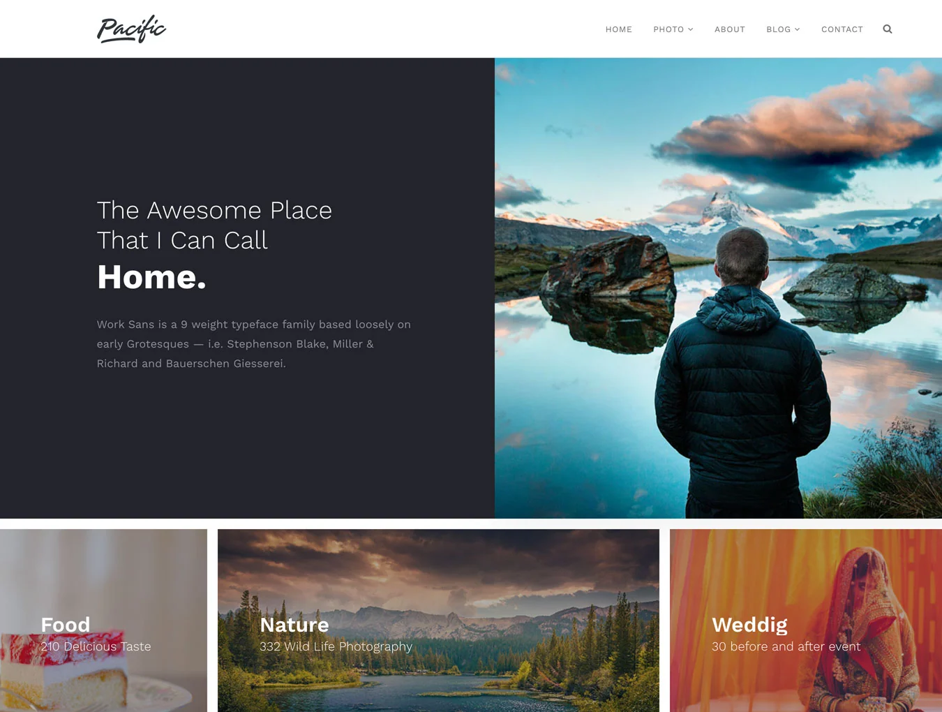 PacificBlue Portfolio WP