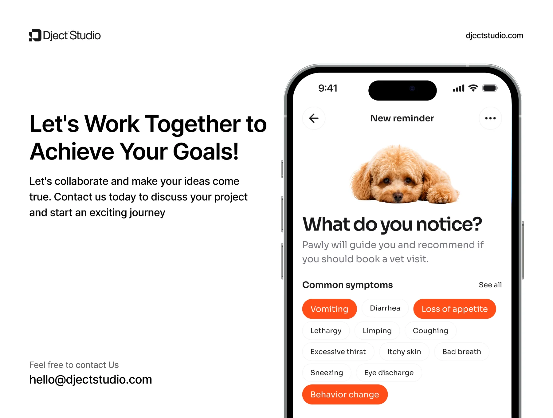 Pawly - Pet Care Mobile App UI Kit 12