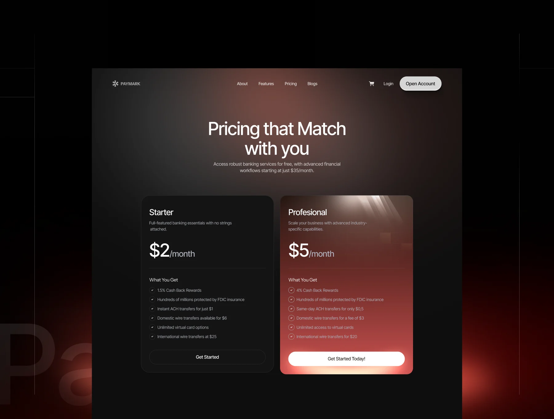 Paymark - FINTECH SAAS Website 3