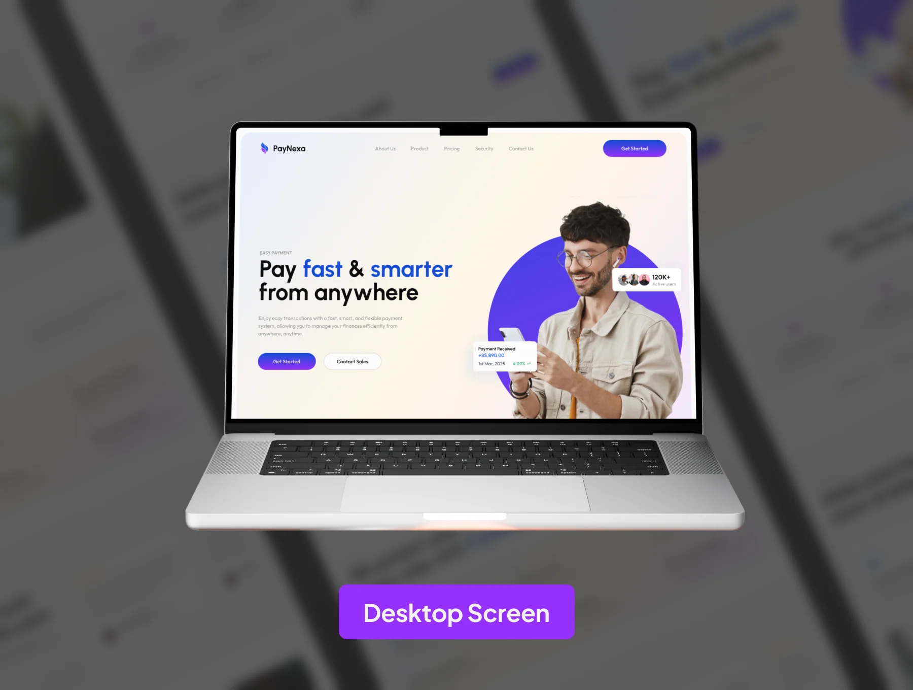 PayNexa - Payment Gateway Website 2